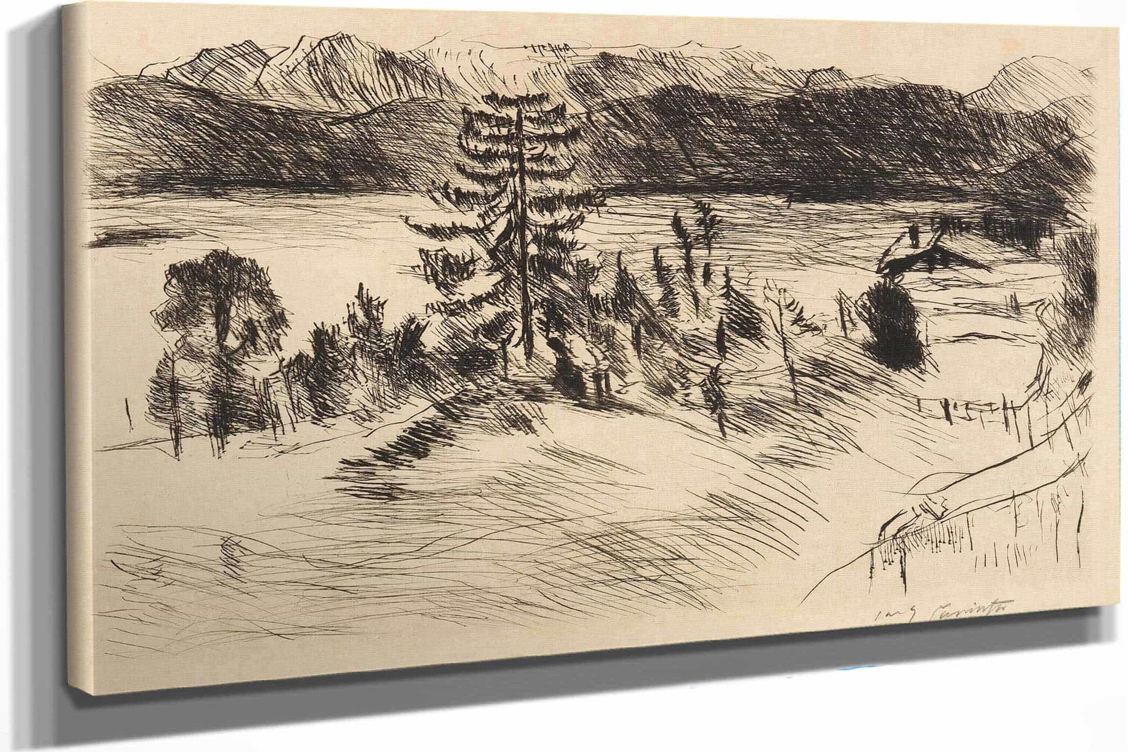 Grobe Walchenseelandschaft by Lovis Corinth