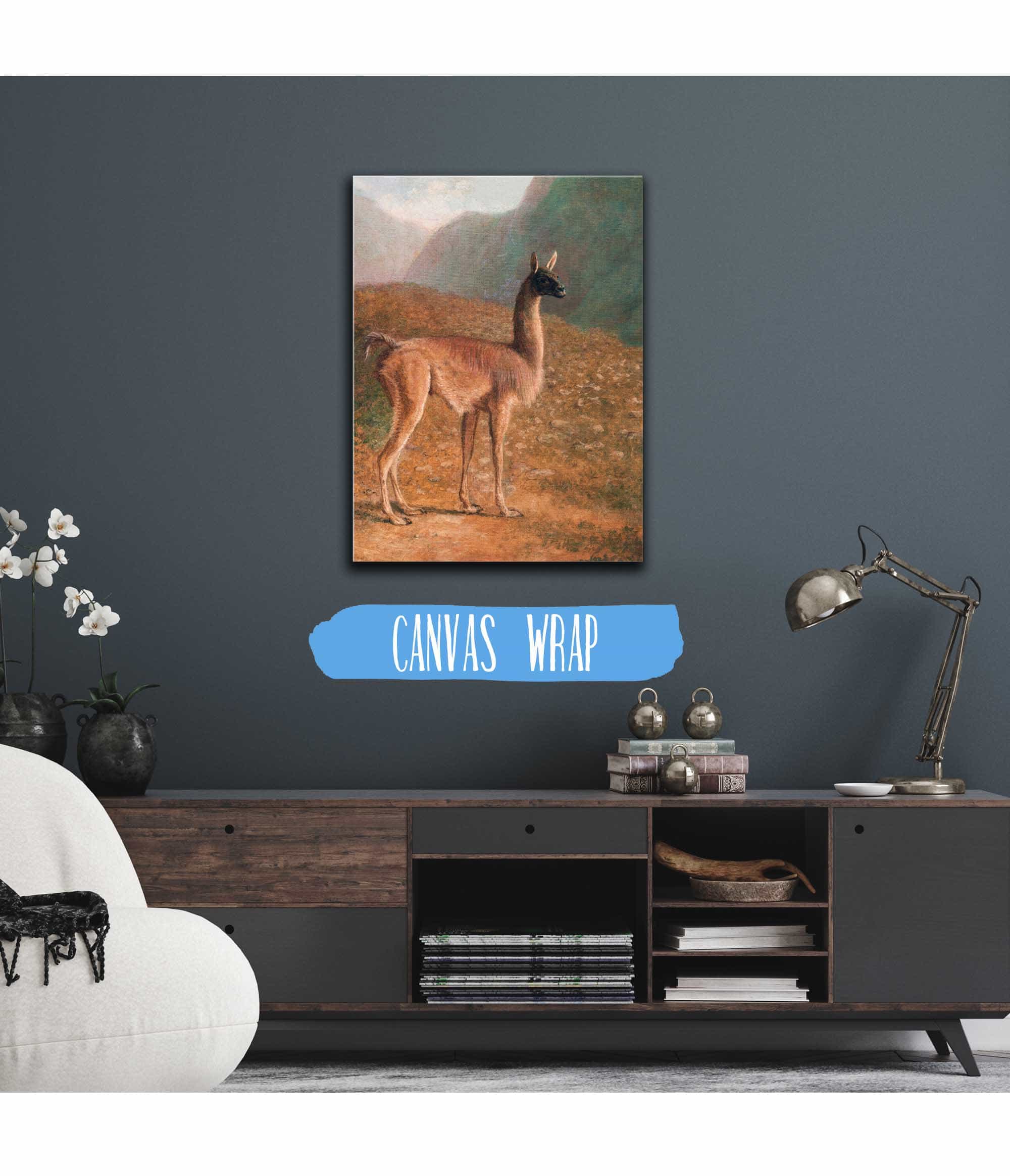 Guanaco by Jacques Laurent Agasse - Image 3