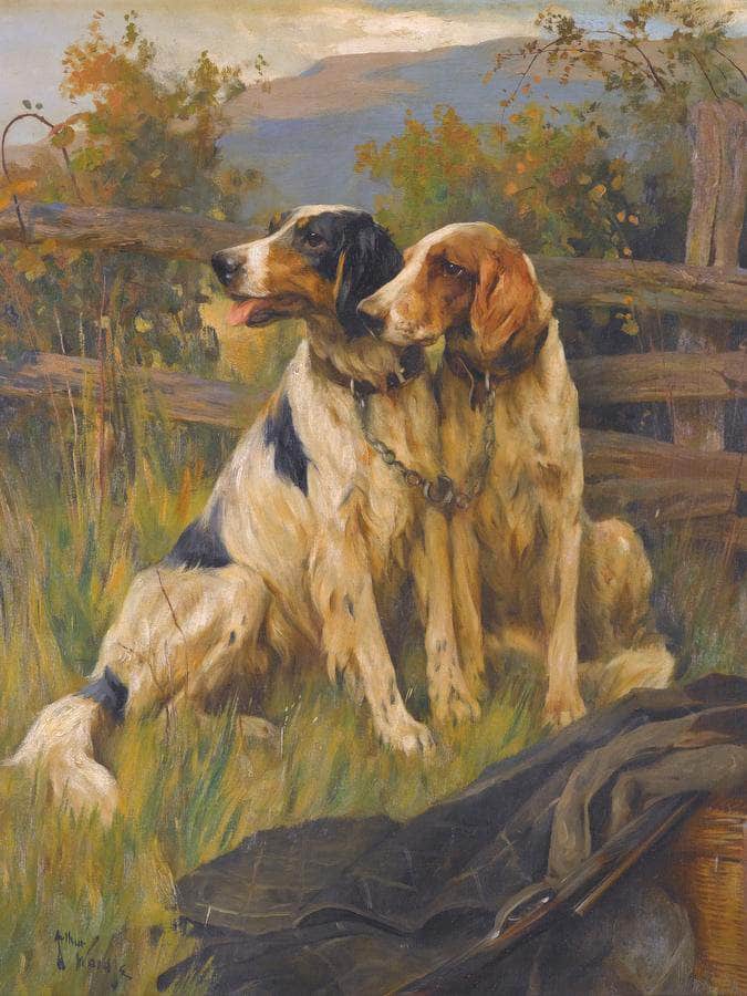Gun Dogs By Arthur Wardle - Image 6