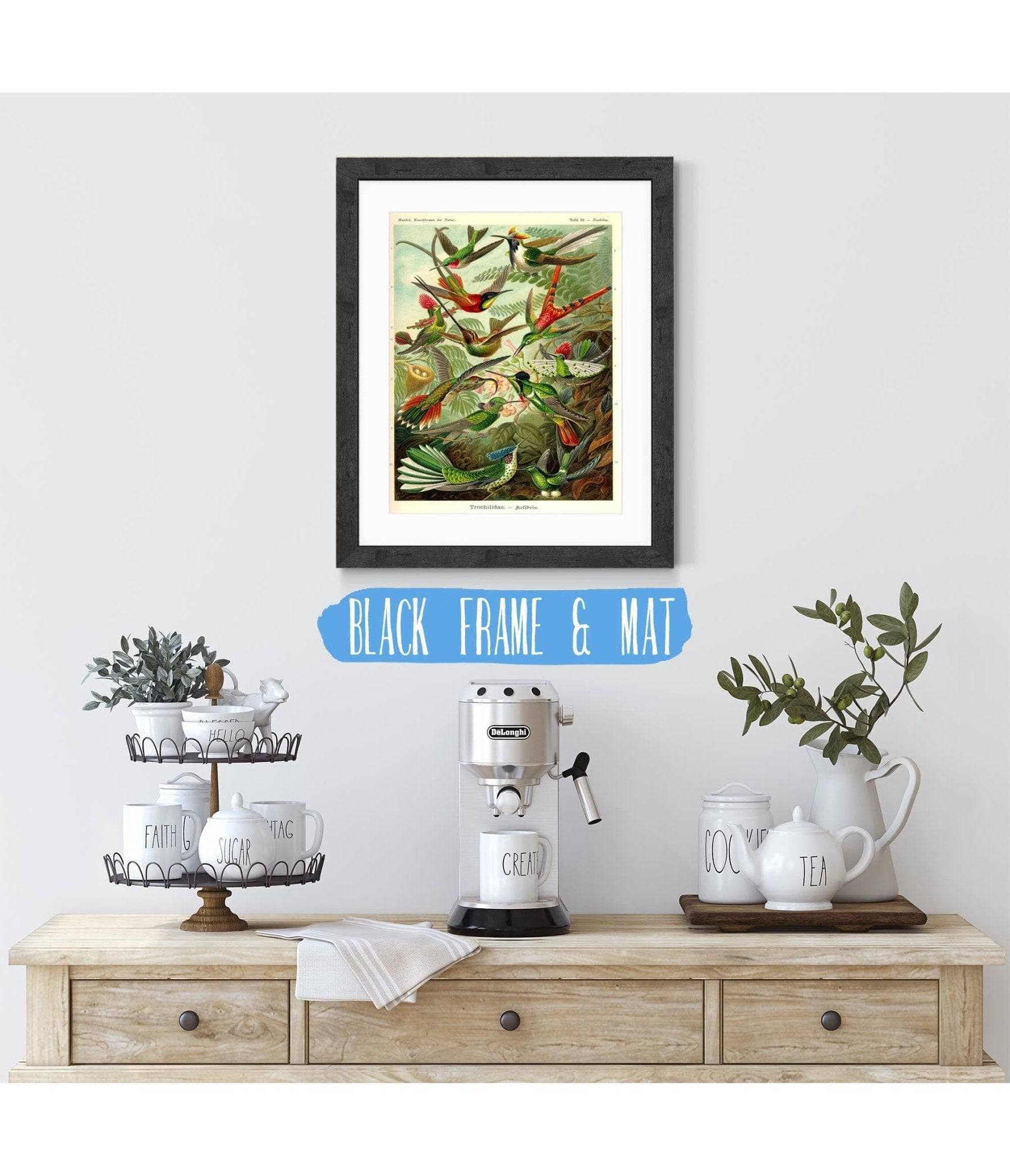 Haeckel Hummingbird (Trochilidae) - Image 4