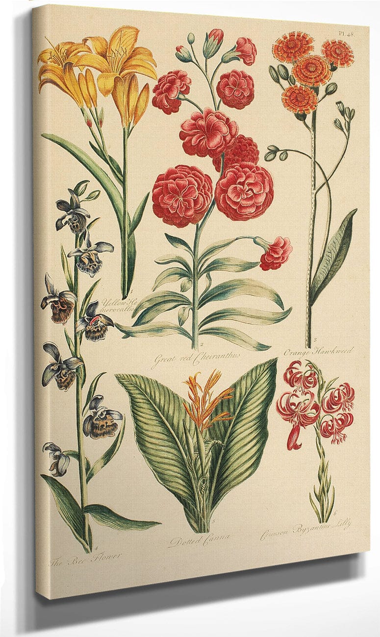 Hale, Thomas By Marion Boyd Allen