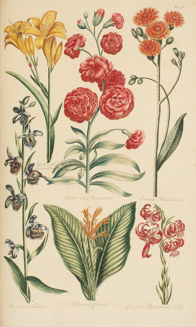 Hale, Thomas By Marion Boyd Allen - Image 5
