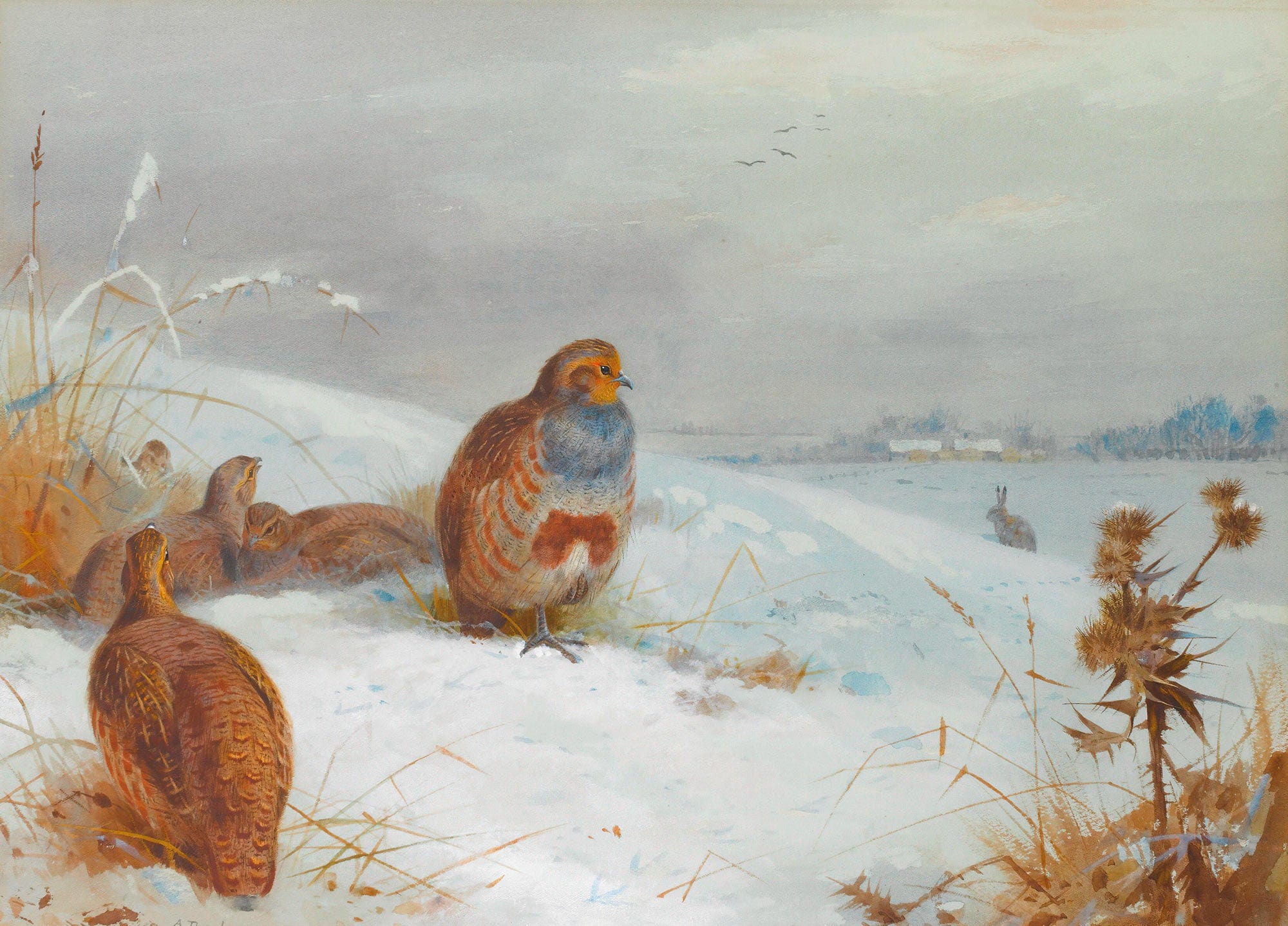 Hard Times Partridges And A Hare by Archibald Thorburn