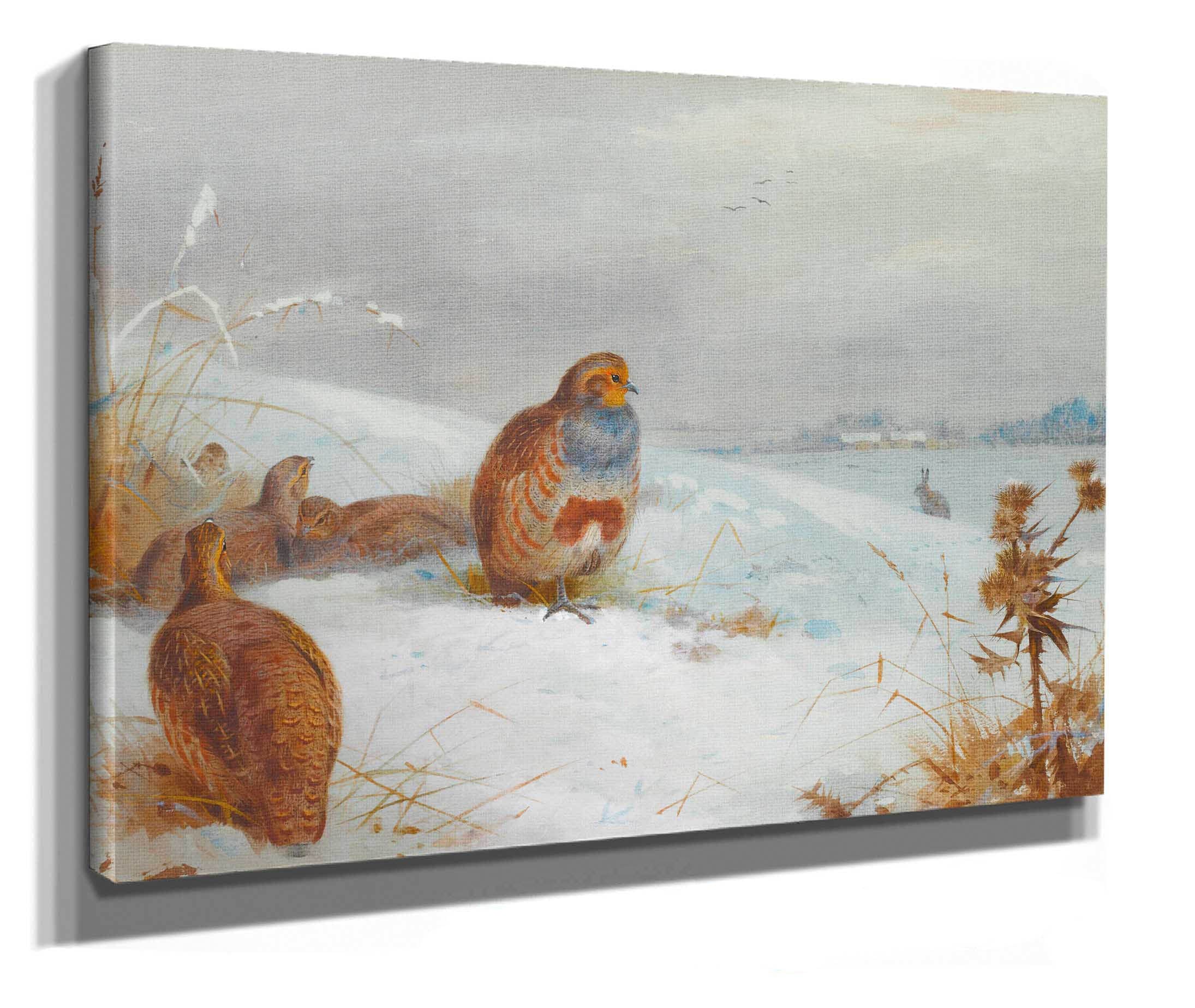 Hard Times Partridges And A Hare by Archibald Thorburn - Image 2