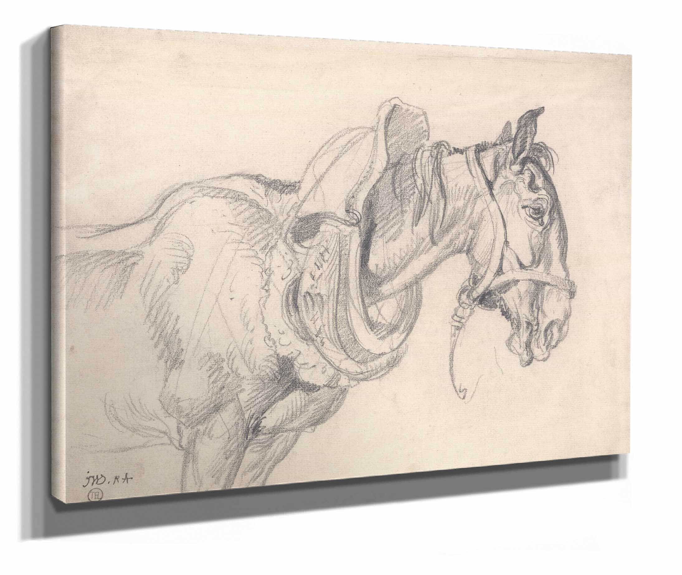 Head And Shoulders Of A Cart Horse by James Ward - Image 2