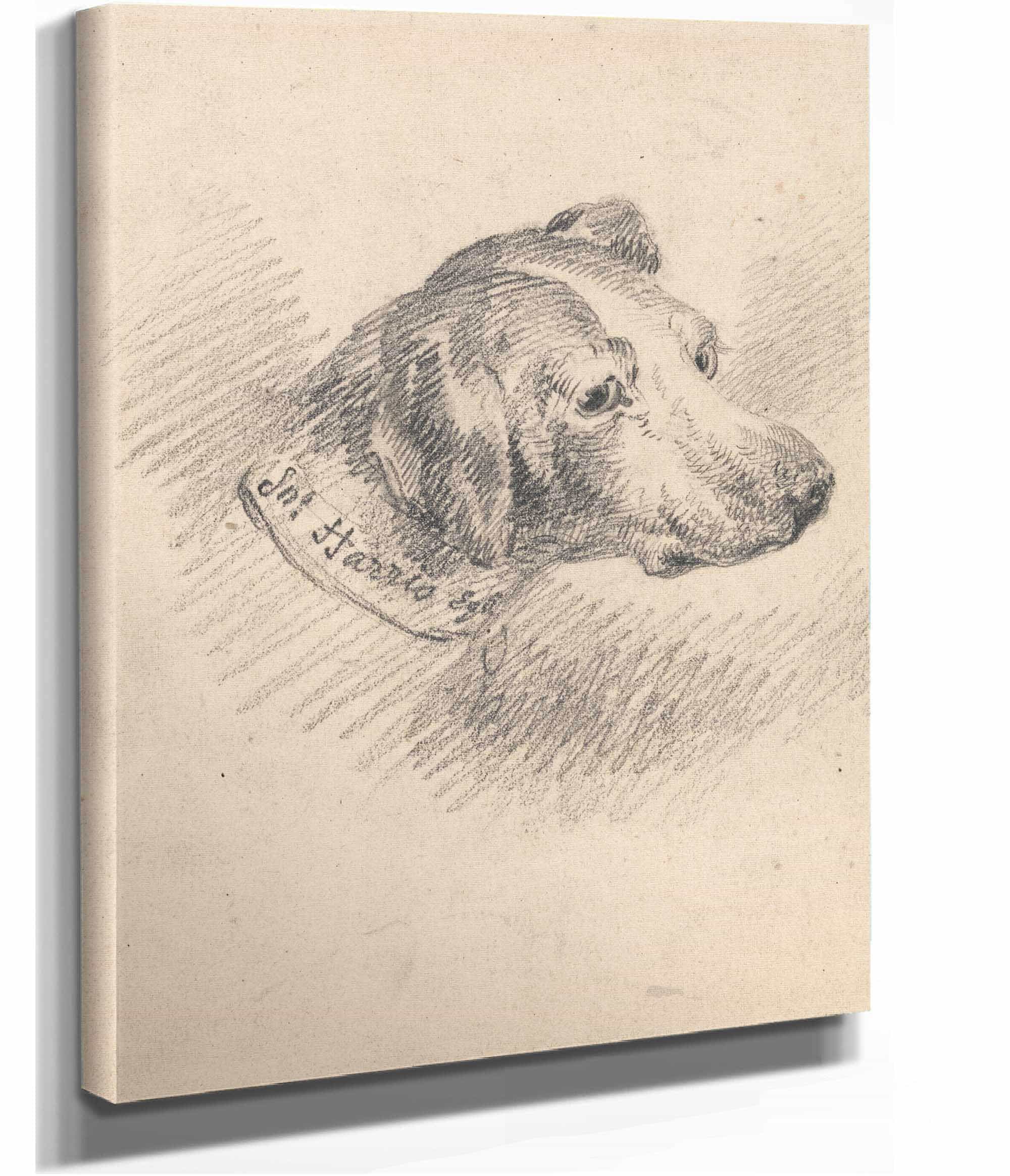 Head Of A Hound by George Morland - Image 2