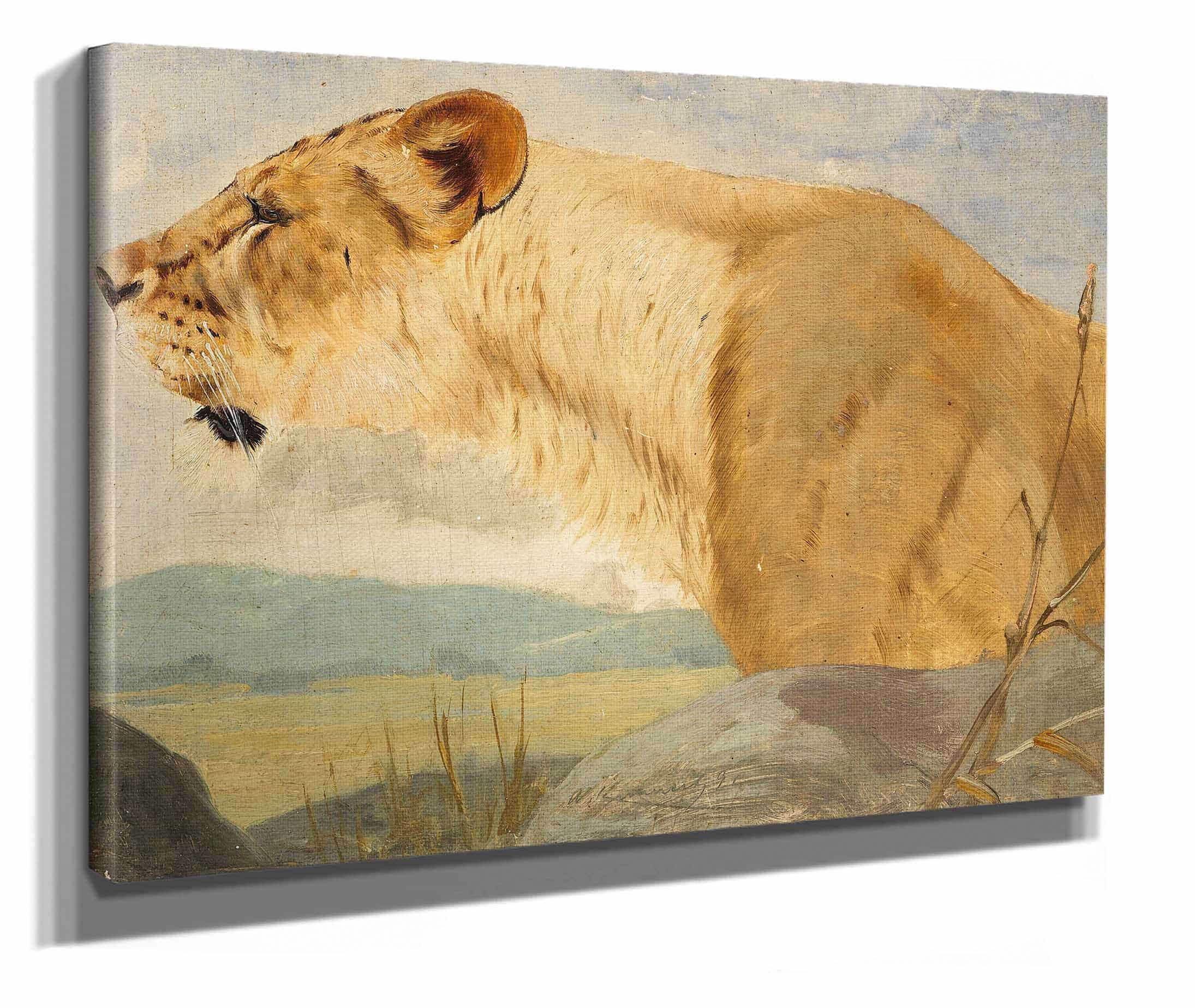 Head Of A Lioness by Wilhelm Kuhnert - Image 2