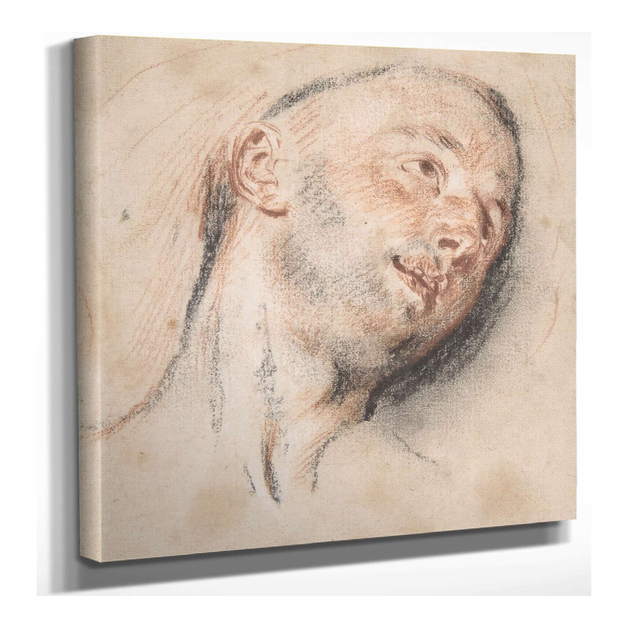 Head Of A Man by Jean Antoine Watteau