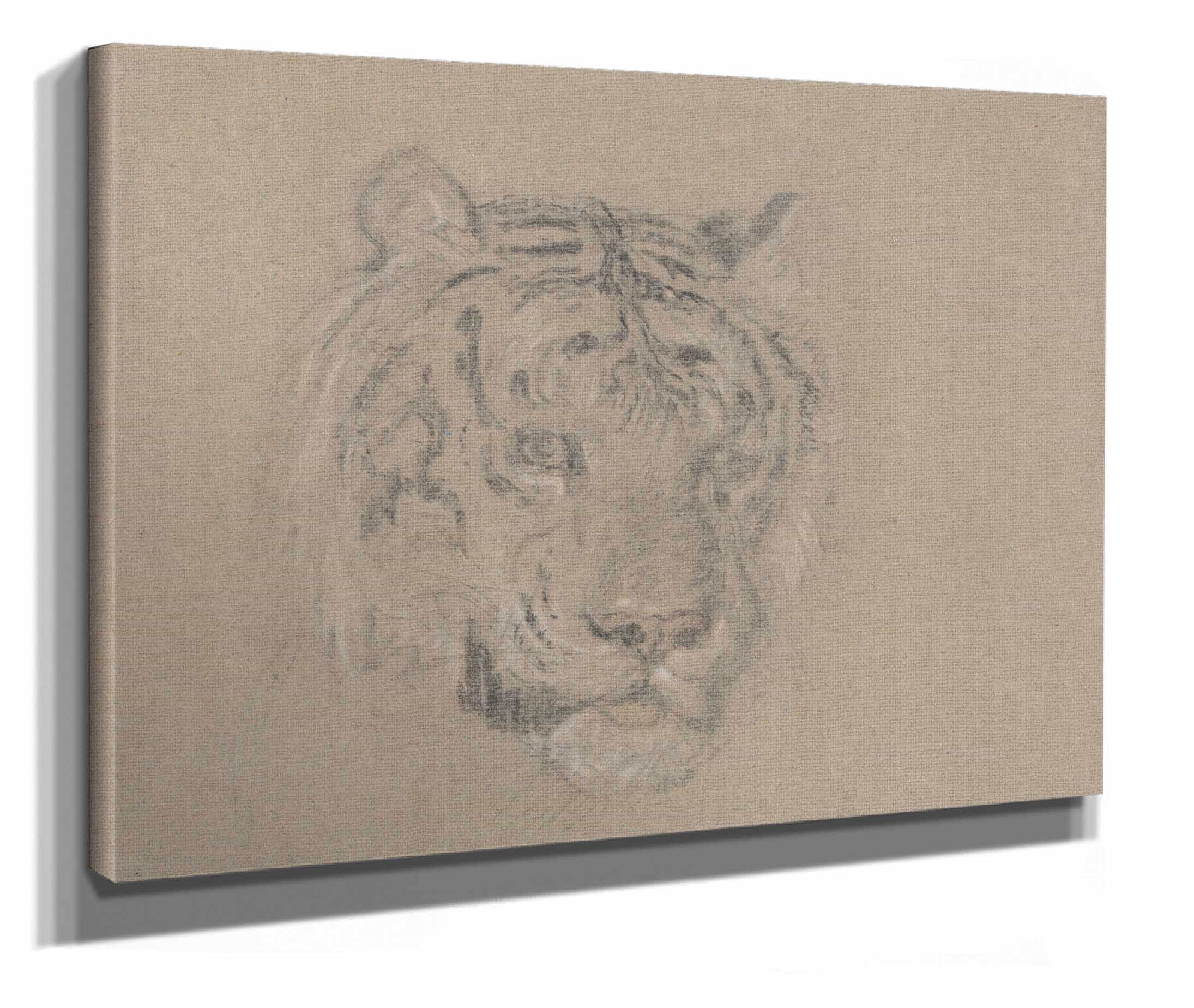 Head Of A Tiger by James Ward - Image 2