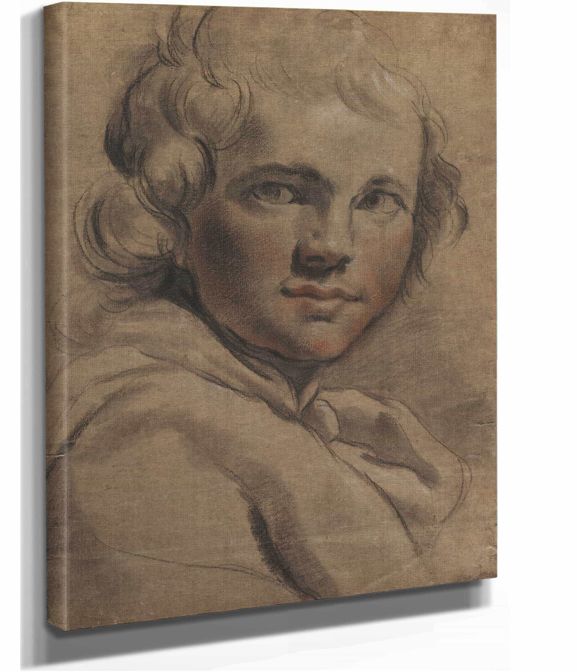 Head Of A Young Man Recto S by Gaetano Gandolfi - Image 2