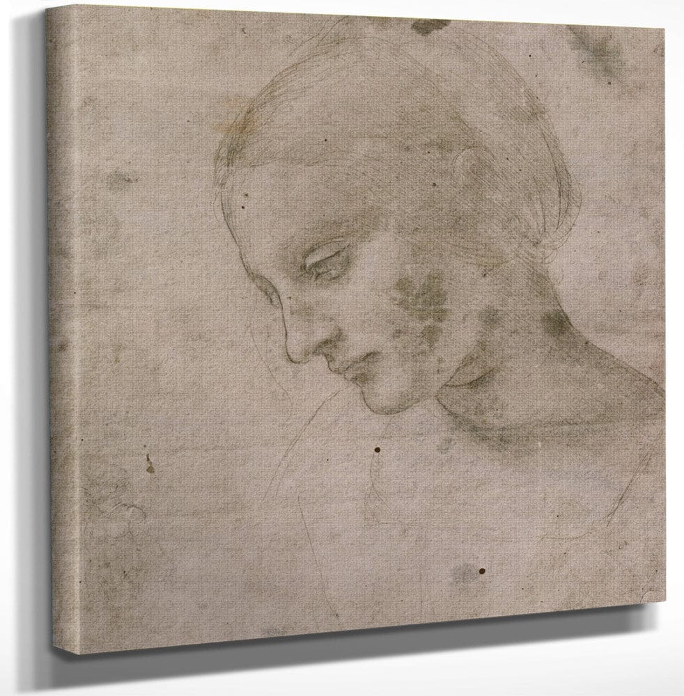 Head Of A Young Woman Or Head Of The Virgin By Leonardo Da Vinci