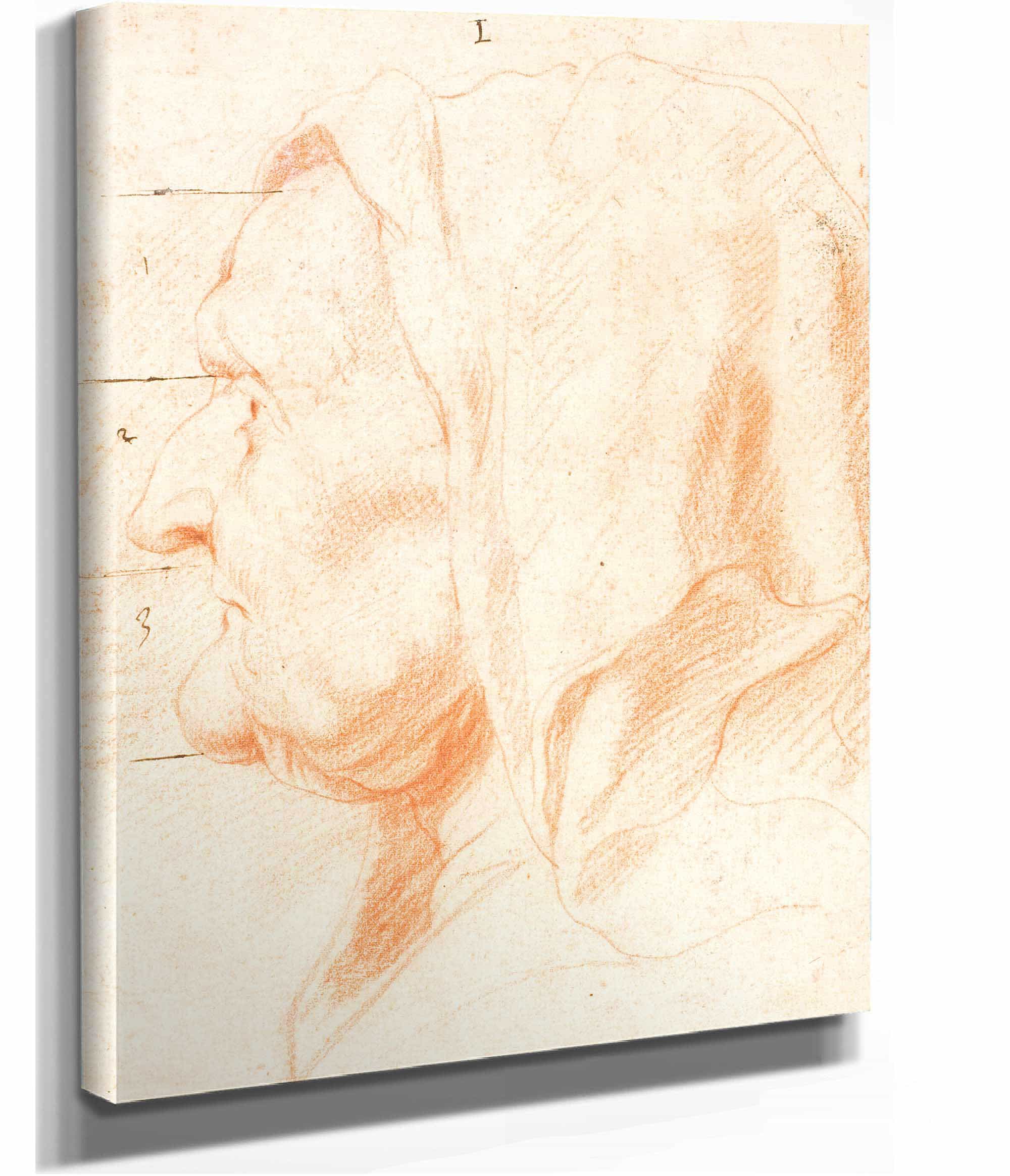 Head Of An Old Woman In Left Profile by Jacob Jordaens - Image 2