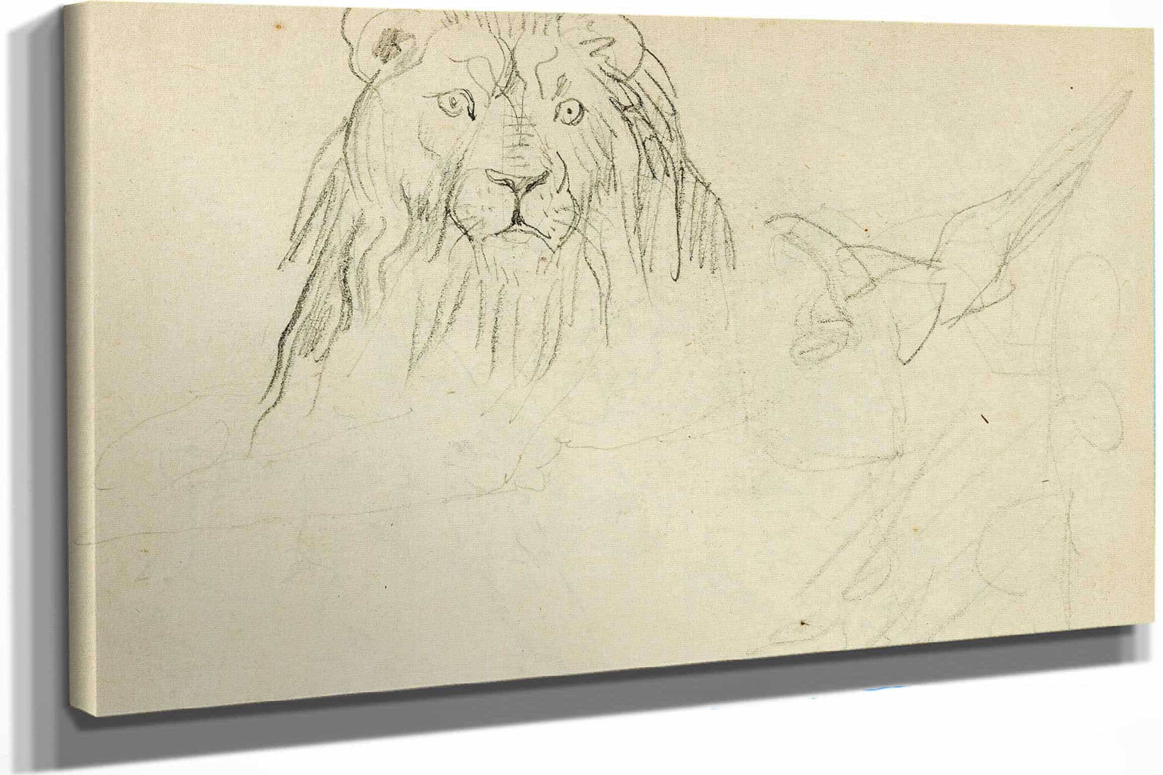 Head On View Of Seated Lion by Theodore Gericault