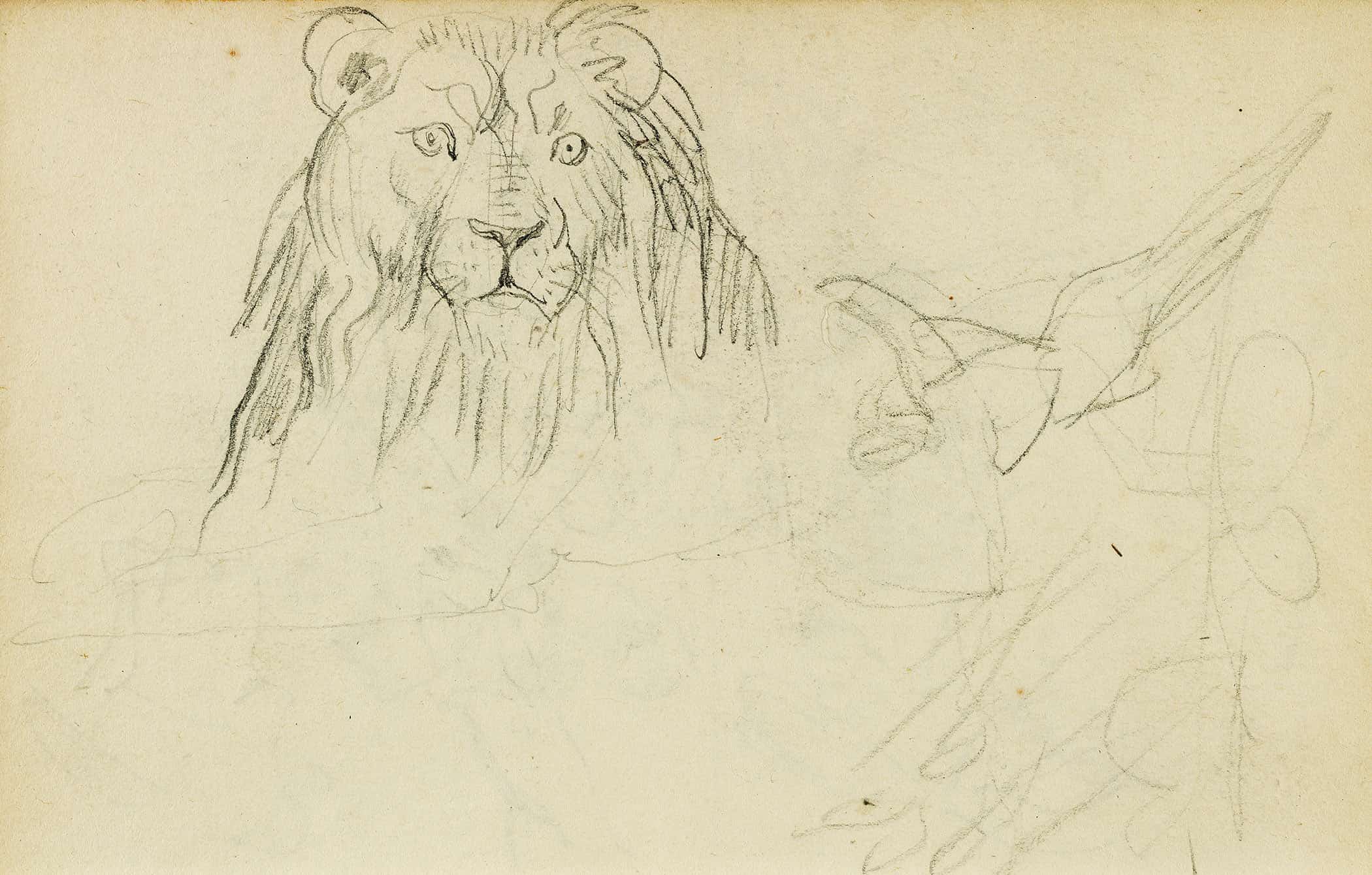 Head On View Of Seated Lion by Theodore Gericault - Image 2