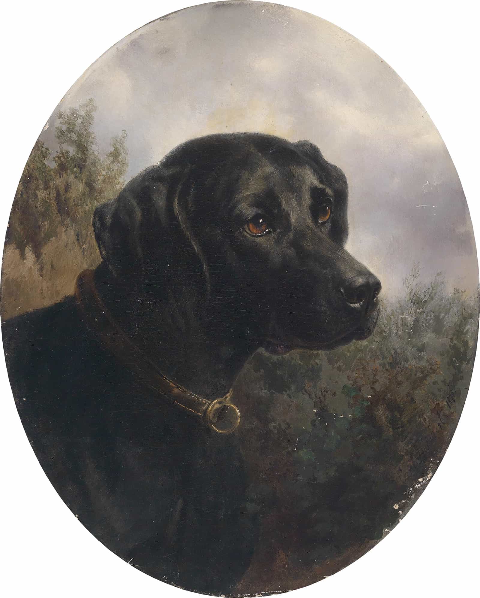 Hector by Carl Reichert