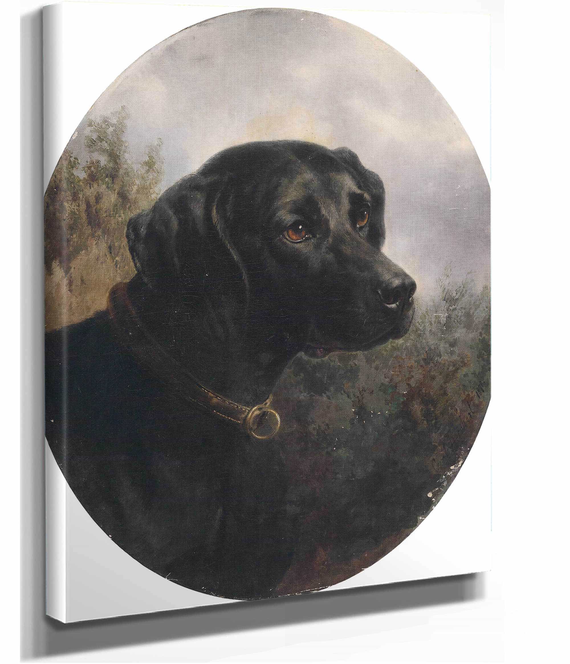 Hector by Carl Reichert - Image 2