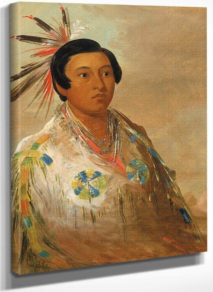 Hee Doh'ge Ats, A Young Man By George Catlin