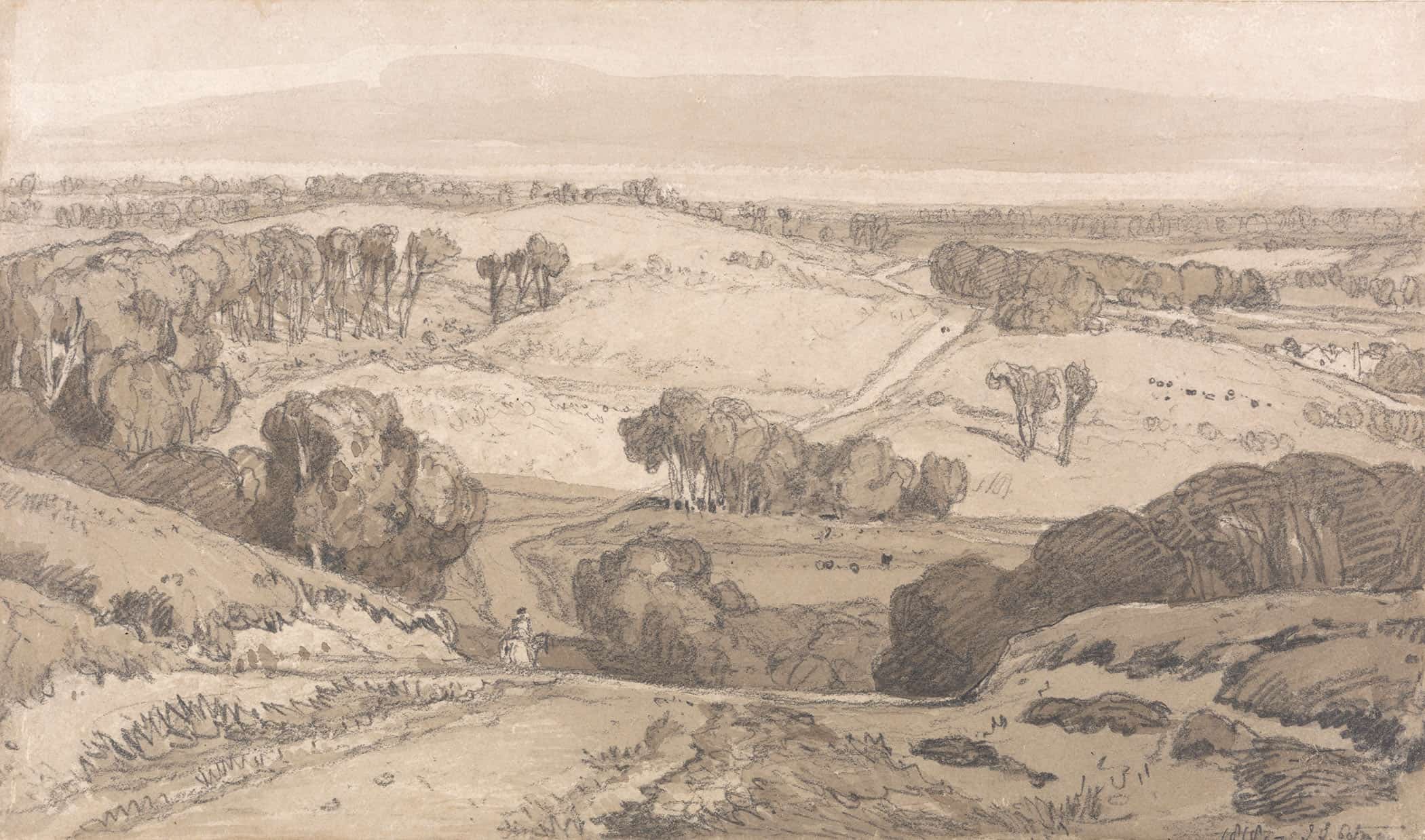 Holt Heath Near Norwich by John Sell Cotman - Image 2