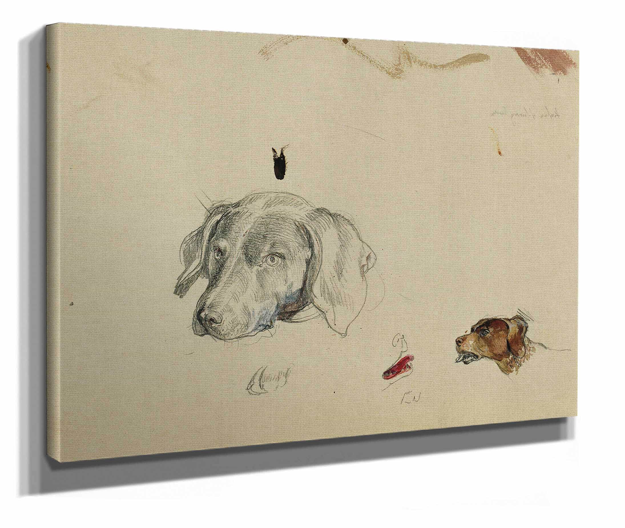 Hundestudie by Johann Peter Krafft - Image 2
