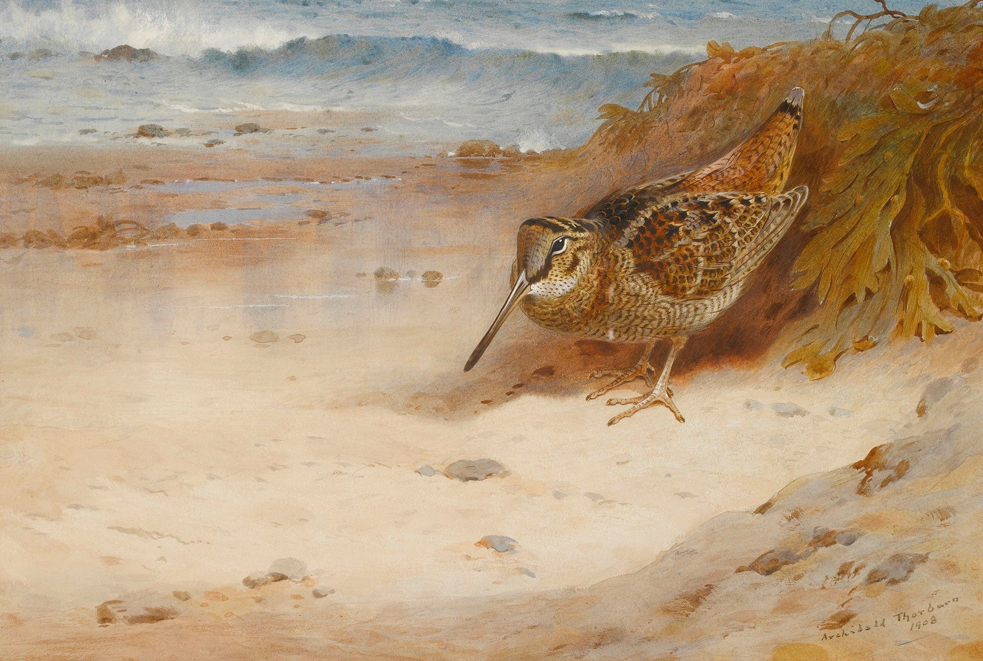 Hungry And Homeless by Archibald Thorburn