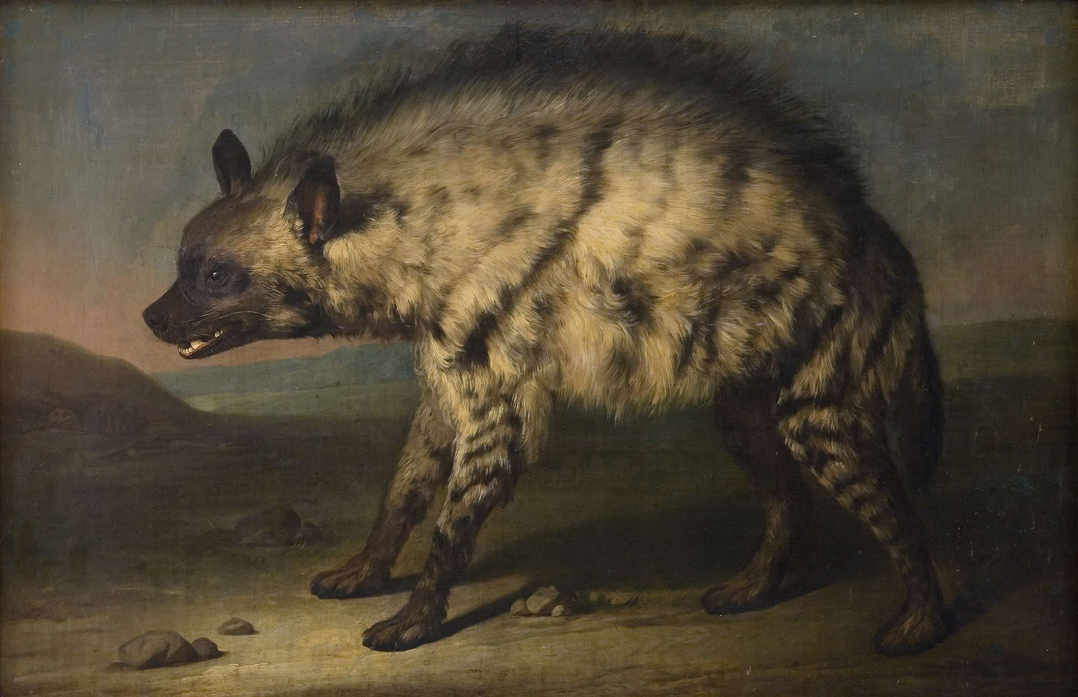 Hyaenen I Menageriet Ved Frederiksberg Slot by Jens Juel - Image 2