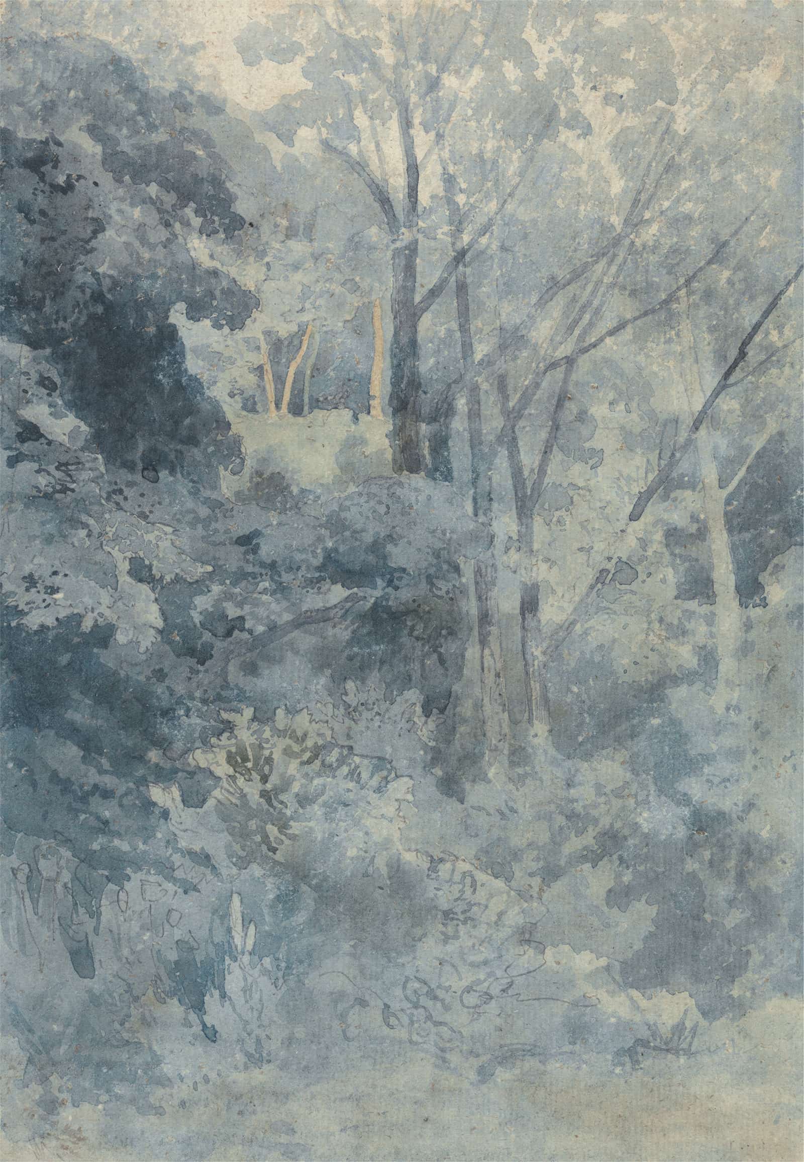 In Rokeby Park To by John Sell Cotman - Image 2