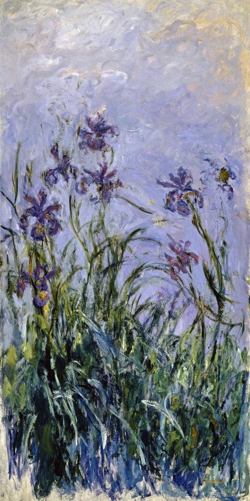 Iris Mauves By Claude Monet - Image 2