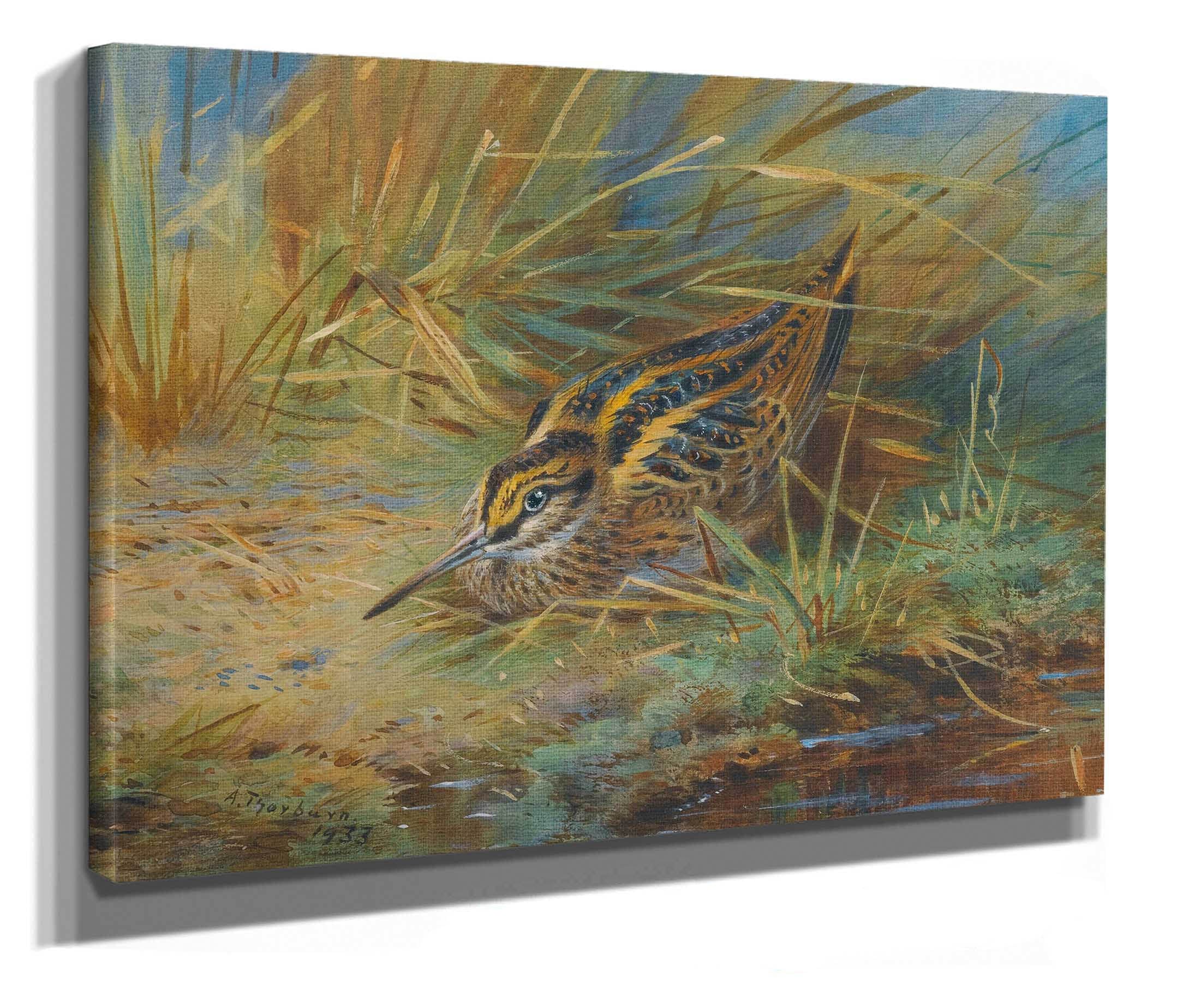 Jack Snipe by Archibald Thorburn - Image 2