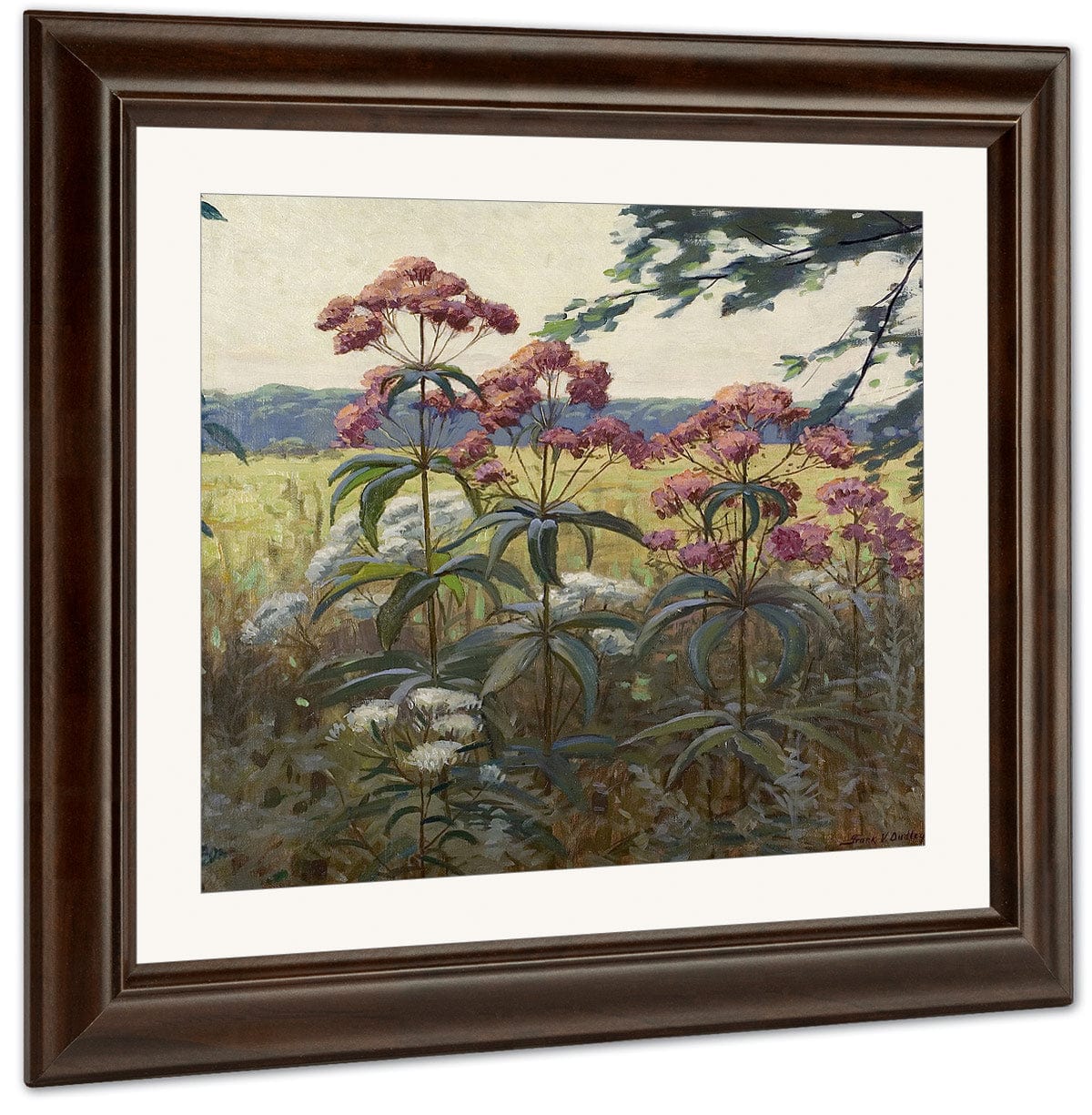 Joe Pye Weed & Boneset By Frank V. Dudley - Image 3