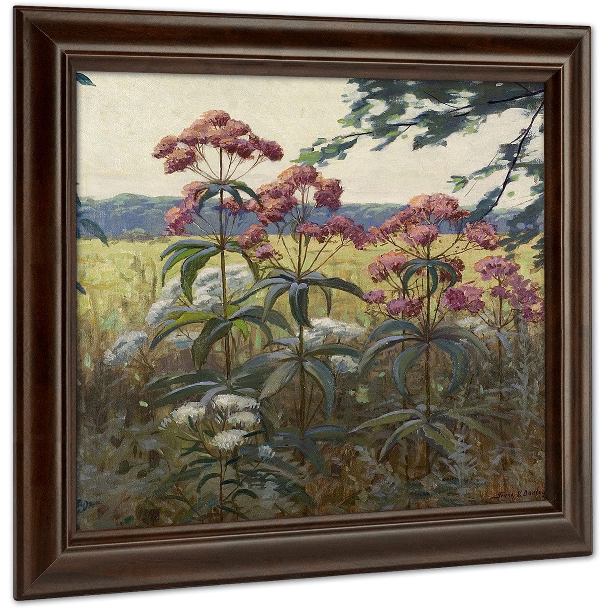 Joe Pye Weed & Boneset By Frank V. Dudley - Image 4
