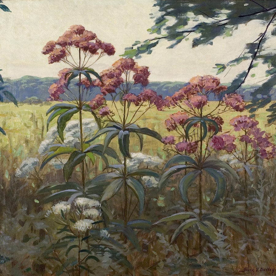 Joe Pye Weed & Boneset By Frank V. Dudley - Image 5