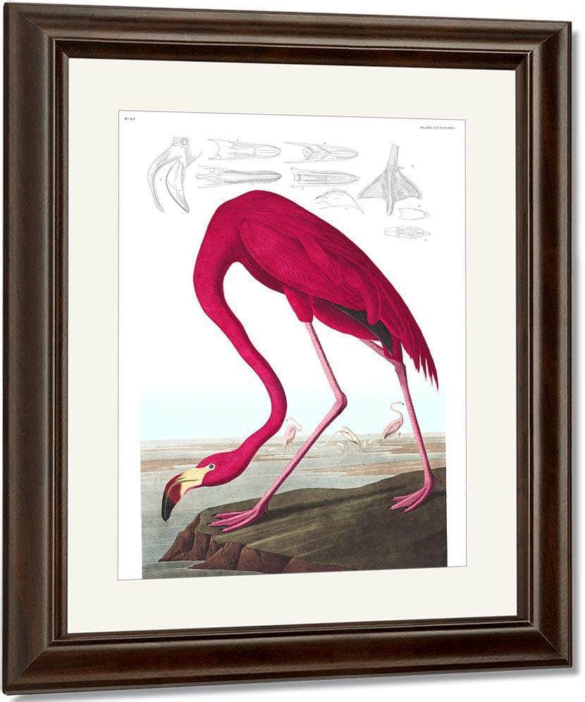 John James Audubon Arctic Tern Copy 1838 By John James Audubon - Image 4