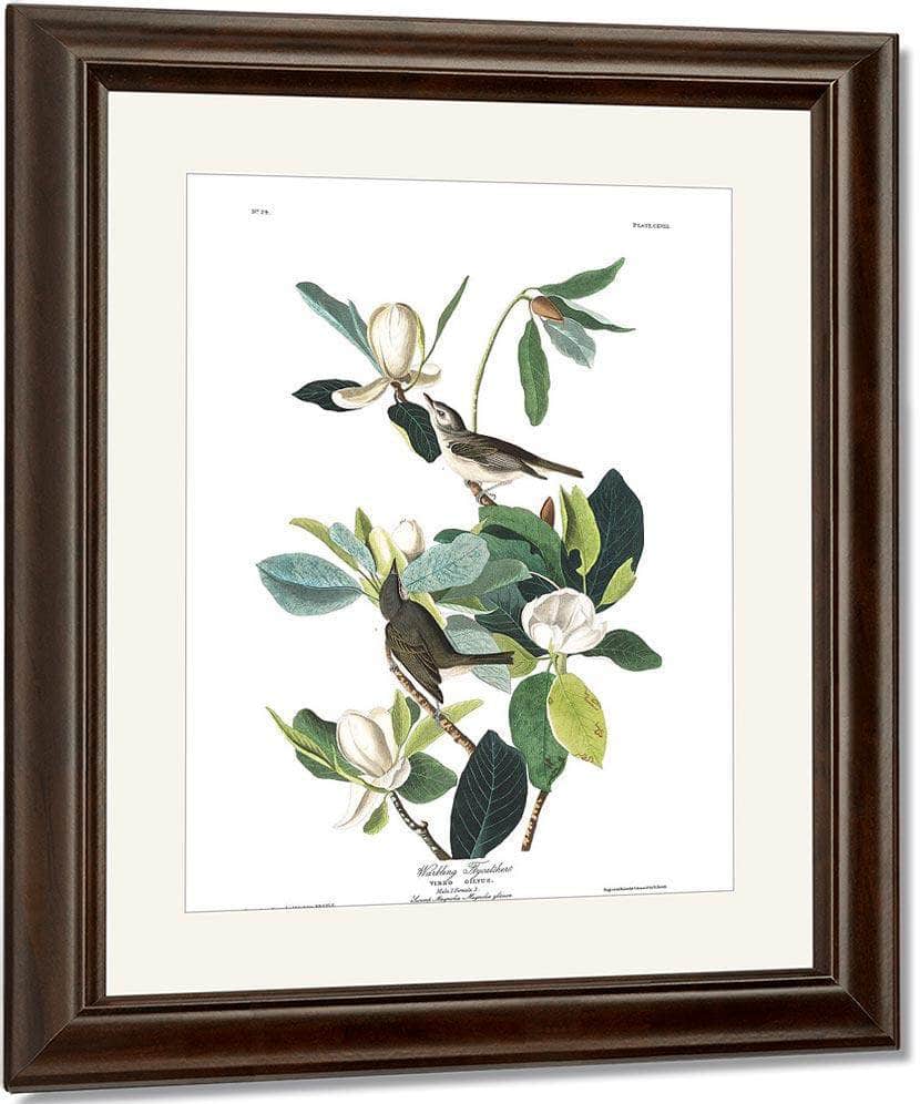 John James Audubon Arctic Tern Copy 8 1838 By John James Audubon - Image 4