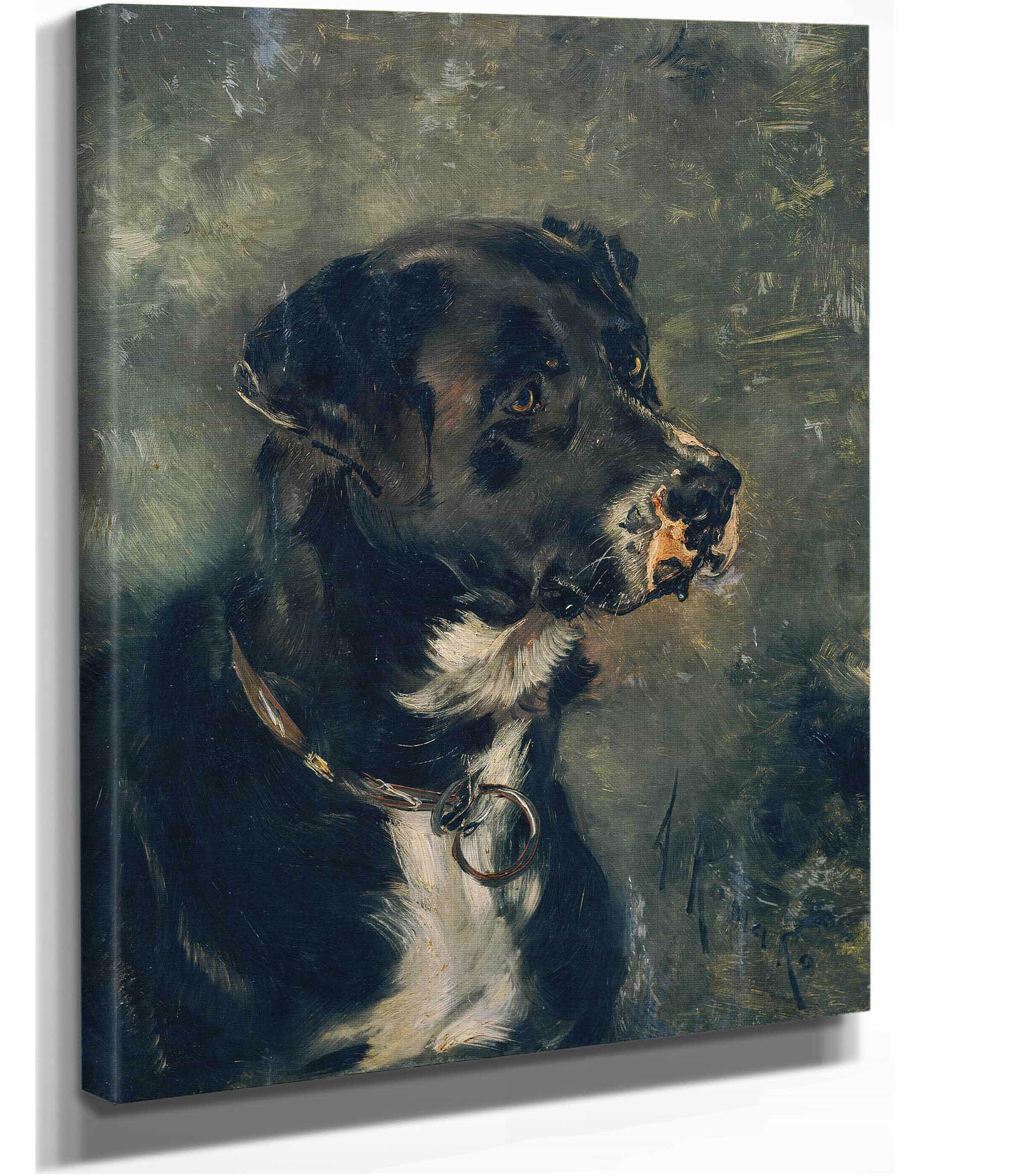 Kopf Eines Fleischerhundes Hundekopf by Anton Romako - Image 2