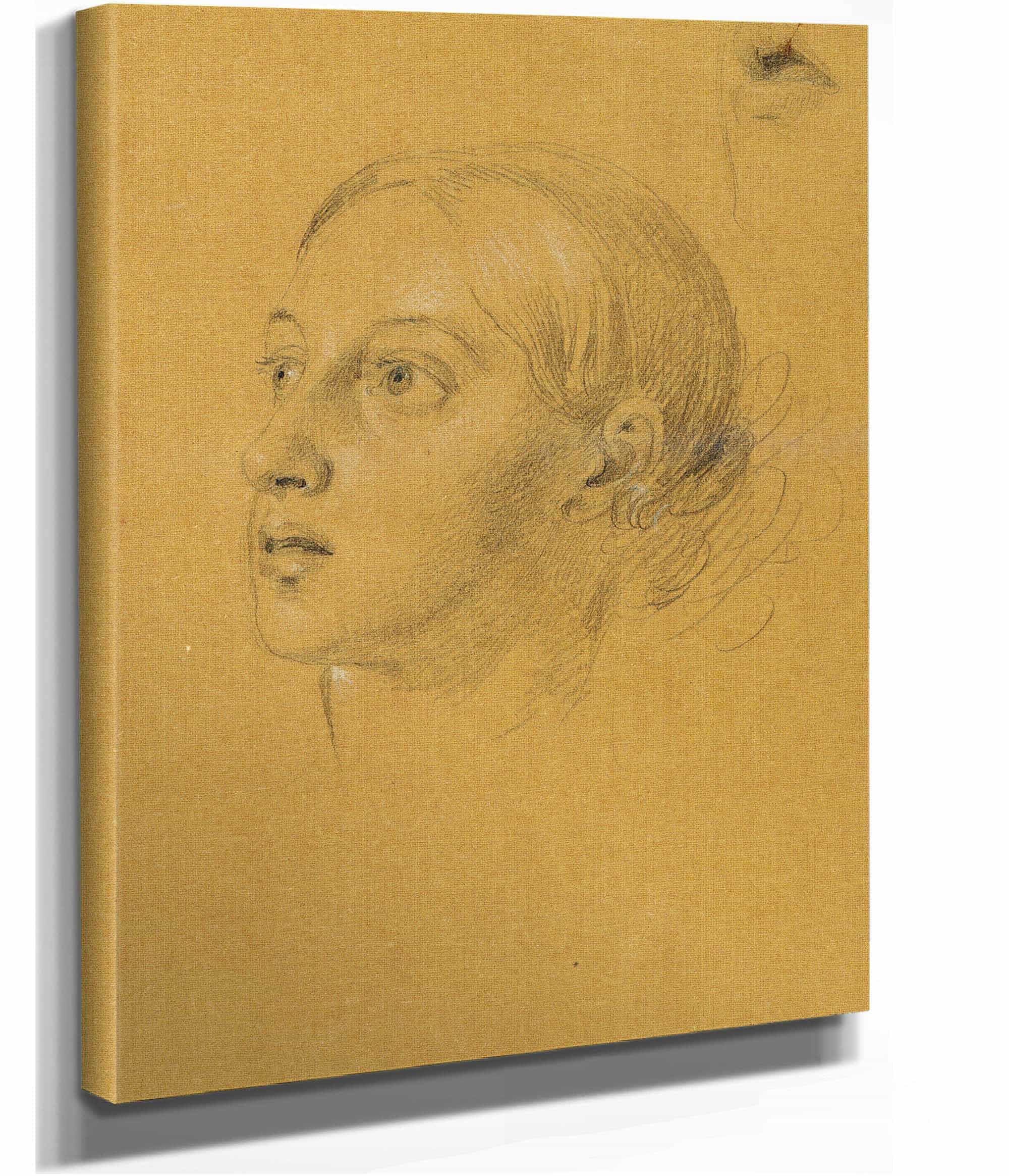 Kopfstudie Zu Arindal Und Daura by Johann Peter Krafft - Image 3