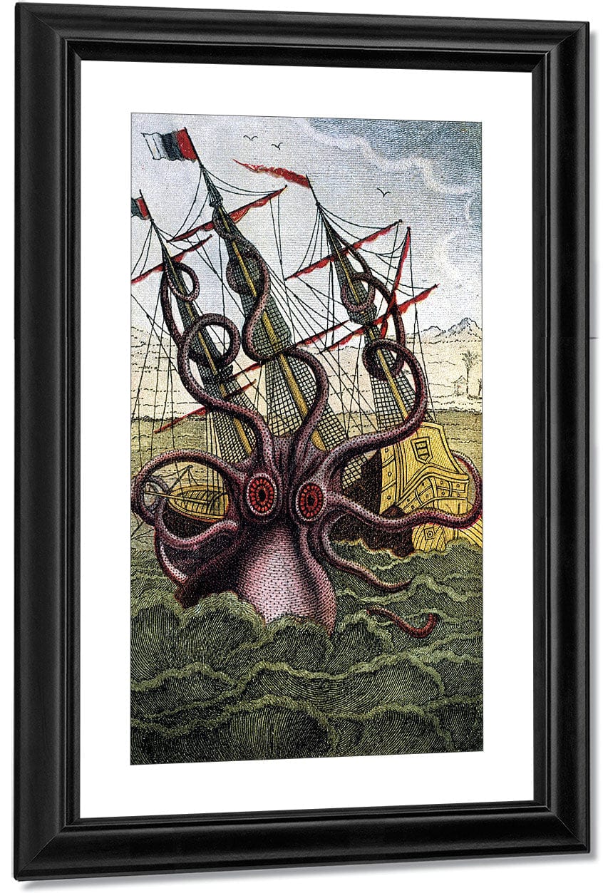 Kraken Pulpo Calamar By Pierre Denys De Montfort - Image 3