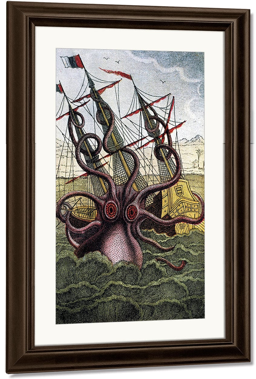 Kraken Pulpo Calamar By Pierre Denys De Montfort - Image 4