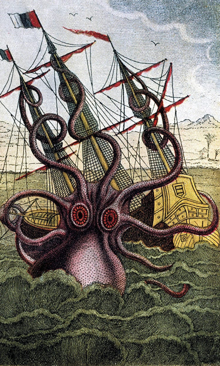 Kraken Pulpo Calamar By Pierre Denys De Montfort - Image 6