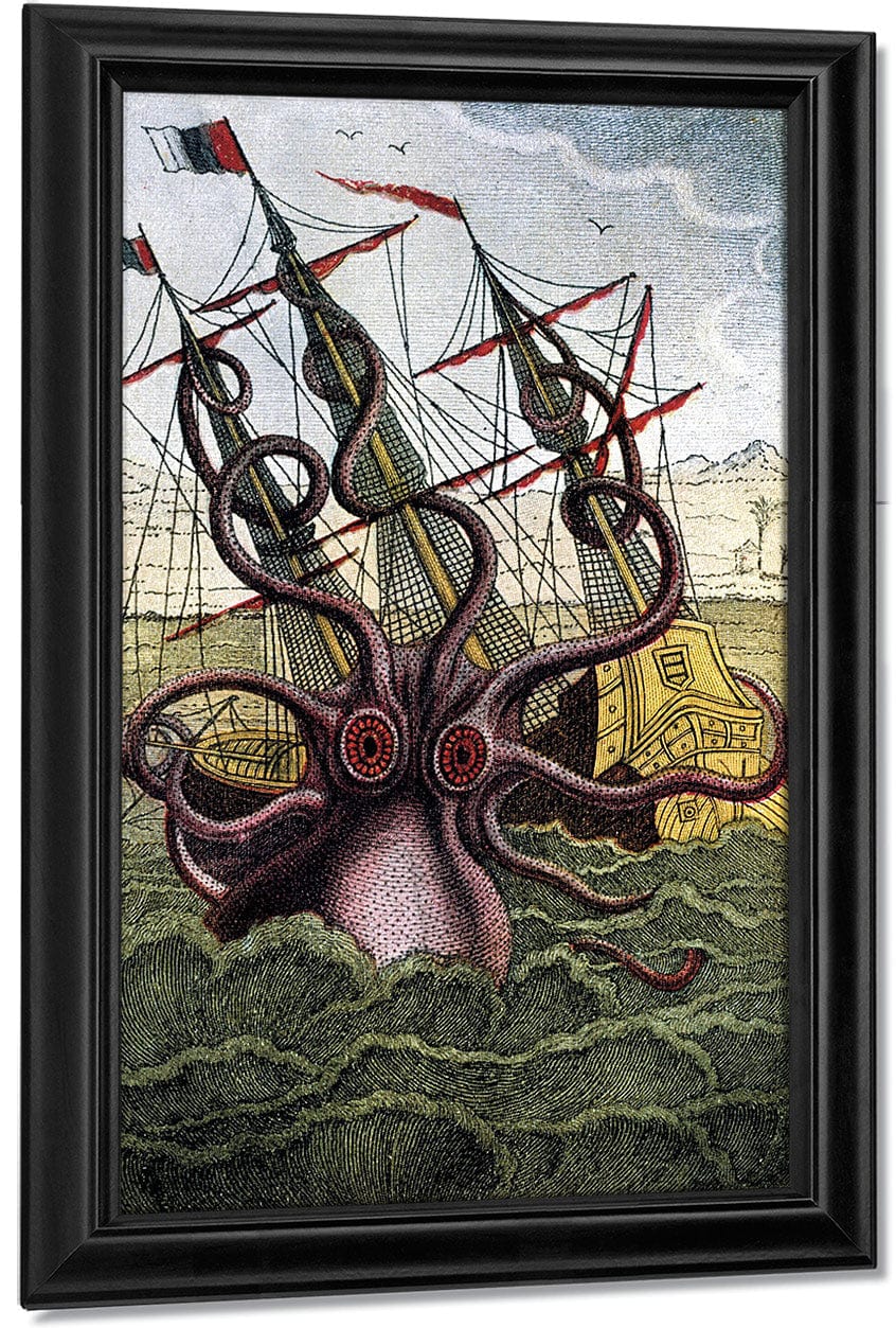 Kraken Pulpo Calamar By Pierre Denys De Montfort - Image 7