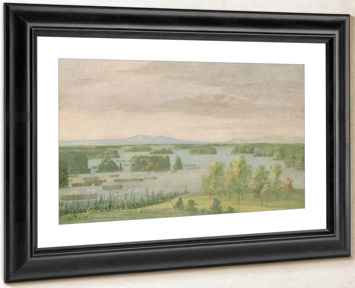 Lac Du Cygne (Swan Lake), Near The Coteau Des Prairies By George Catlin - Image 2