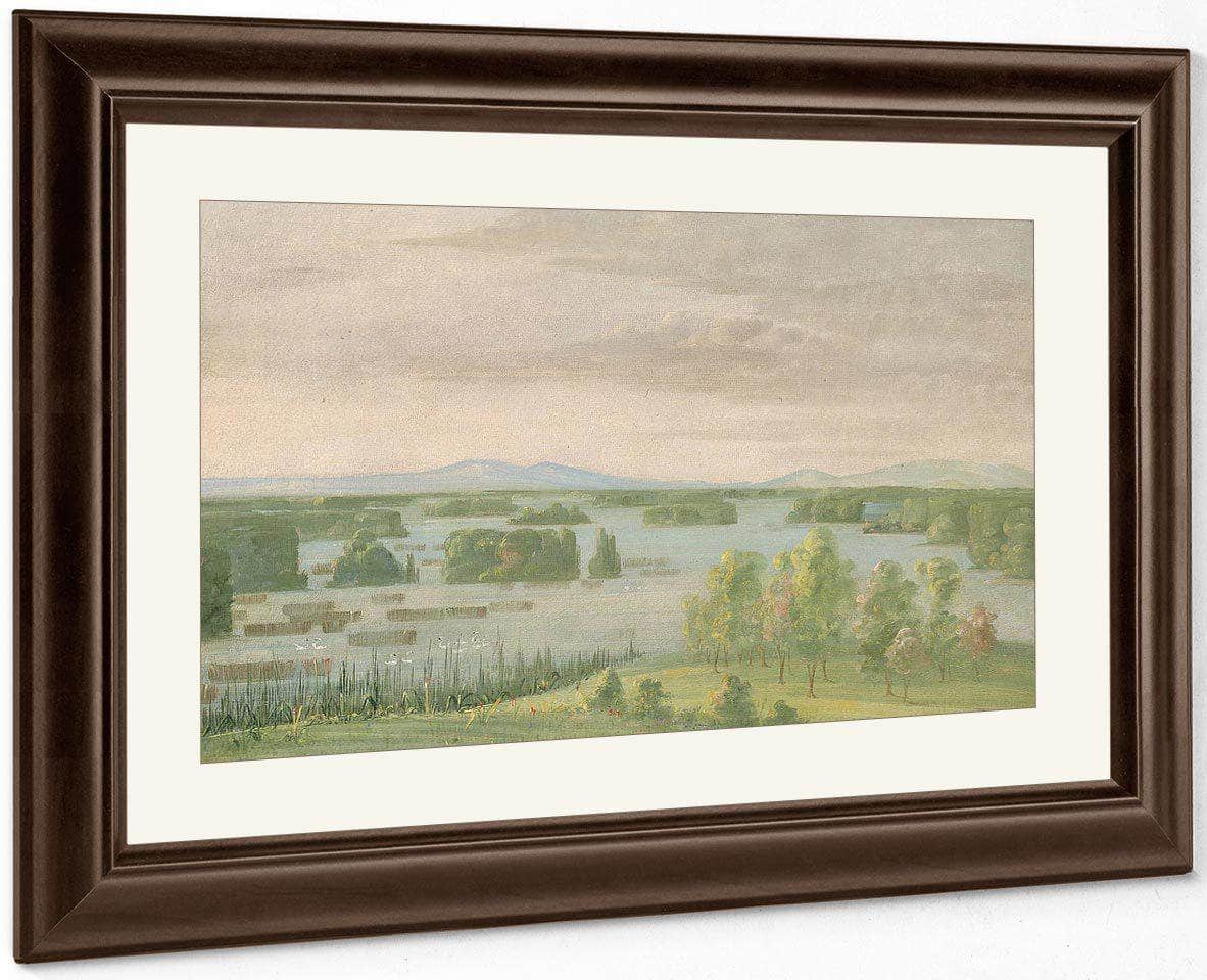 Lac Du Cygne (Swan Lake), Near The Coteau Des Prairies By George Catlin - Image 3