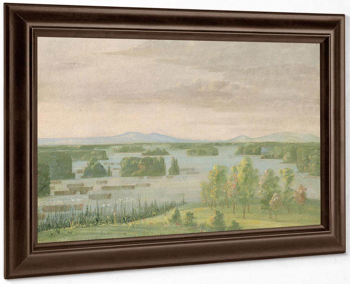 Lac Du Cygne (Swan Lake), Near The Coteau Des Prairies By George Catlin - Image 4