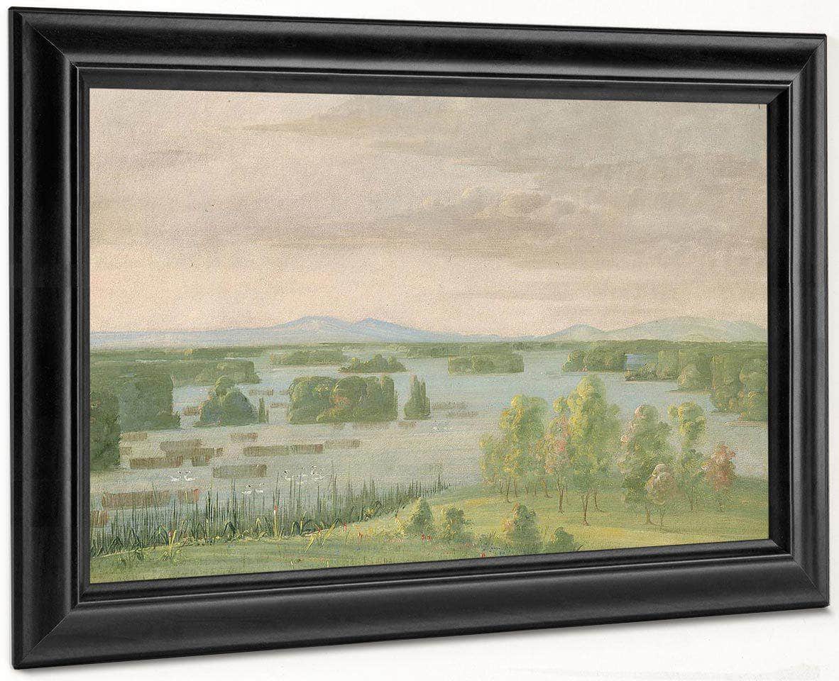Lac Du Cygne (Swan Lake), Near The Coteau Des Prairies By George Catlin - Image 6