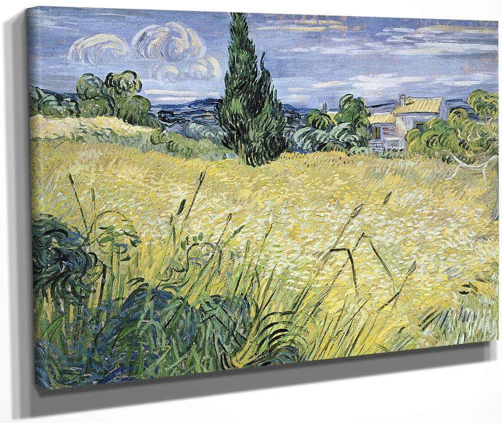 Landscape With Green Corn By Vincent Van Gogh