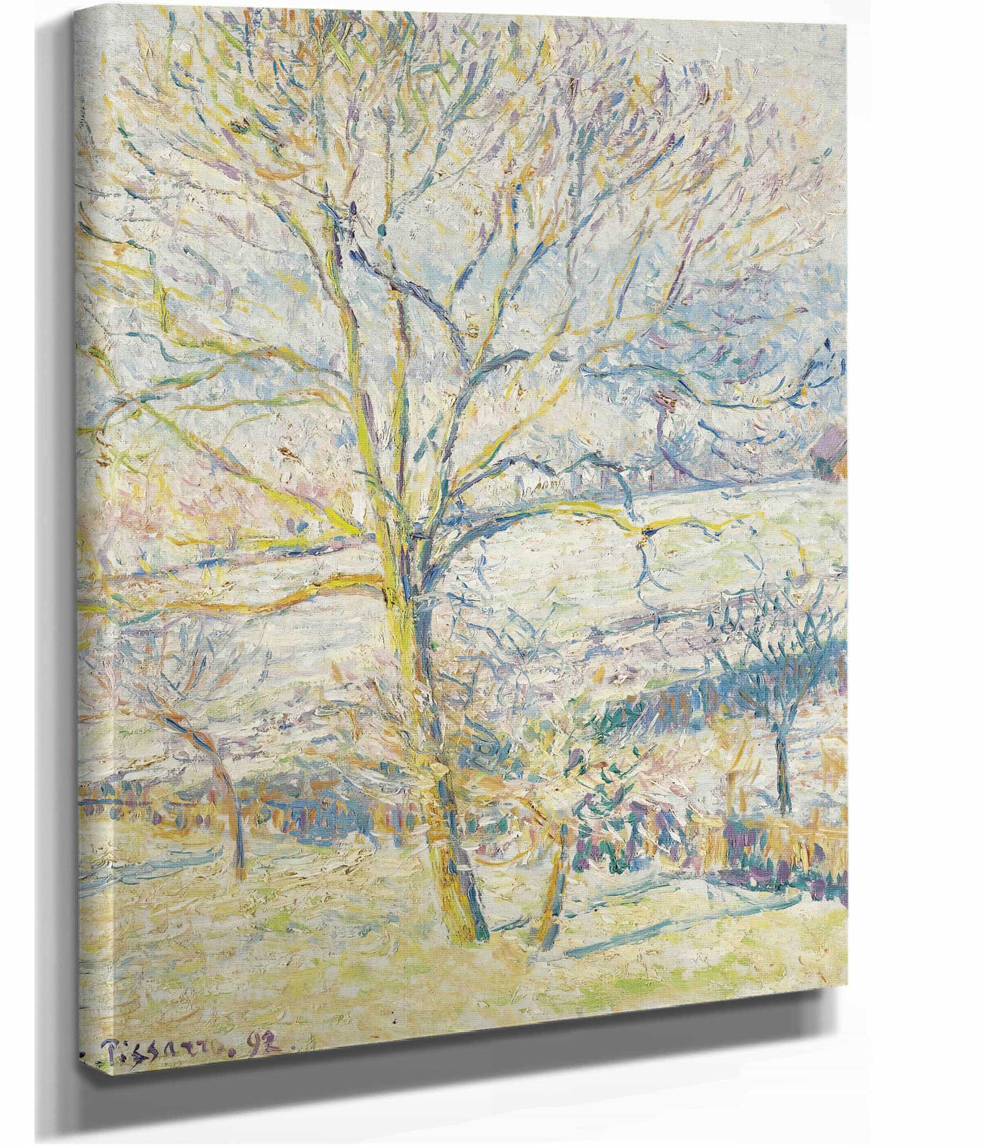 Le Grand Noyer Gelee Blanche Eragny by Camille Pissarro - Image 2