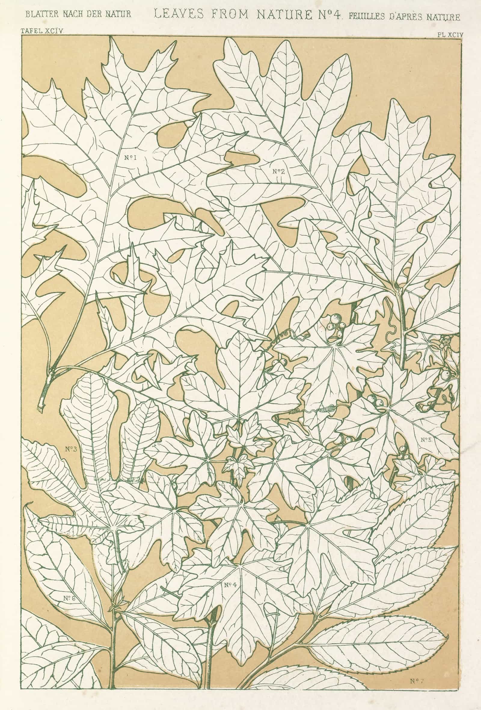 Leaves From Nature No by Owen Jones - Image 4