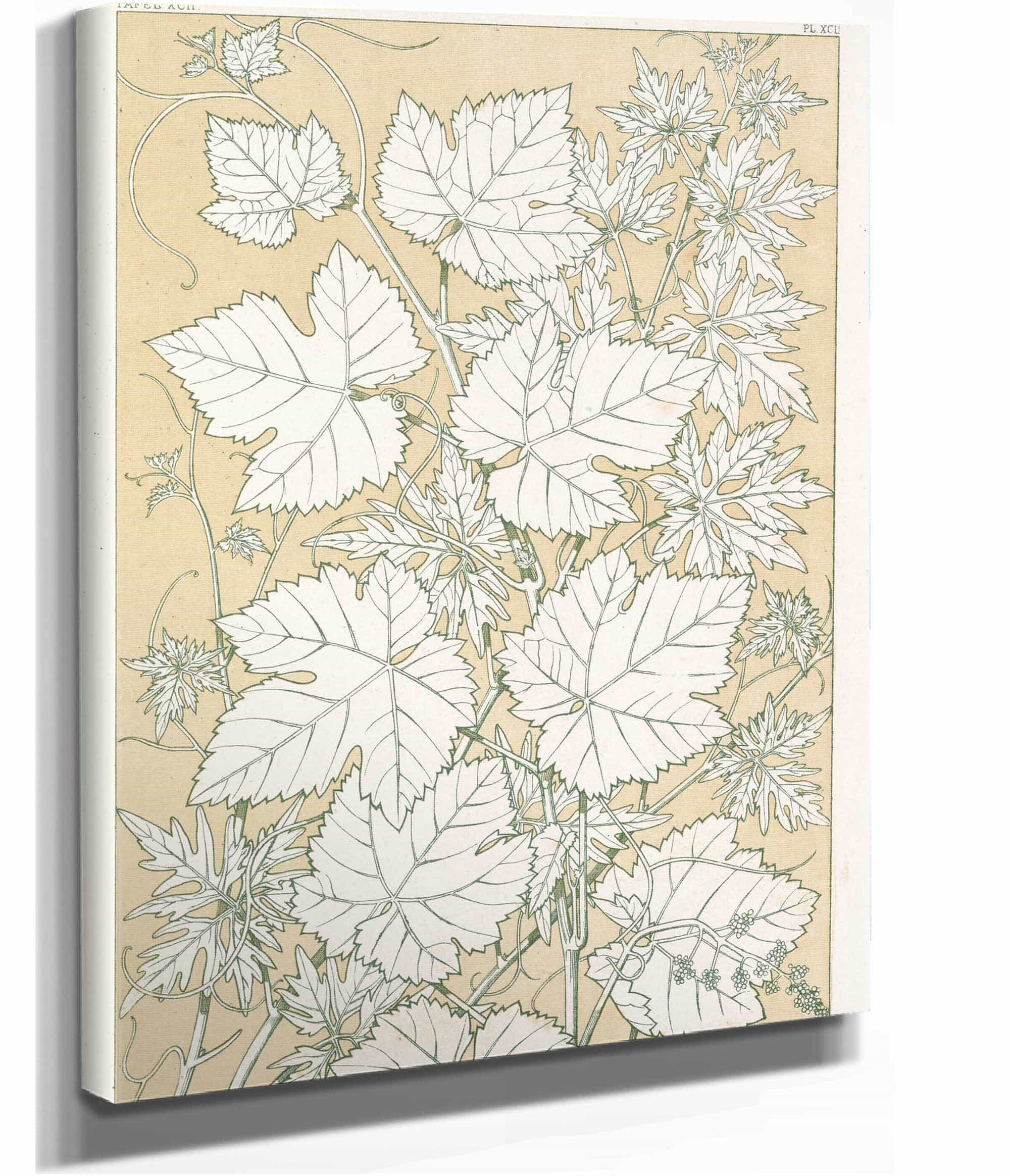 Leaves From Nature No by Owen Jones - Image 6