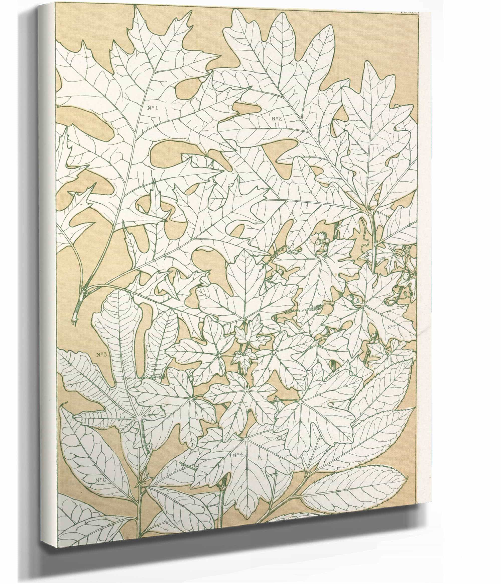 Leaves From Nature No by Owen Jones - Image 7