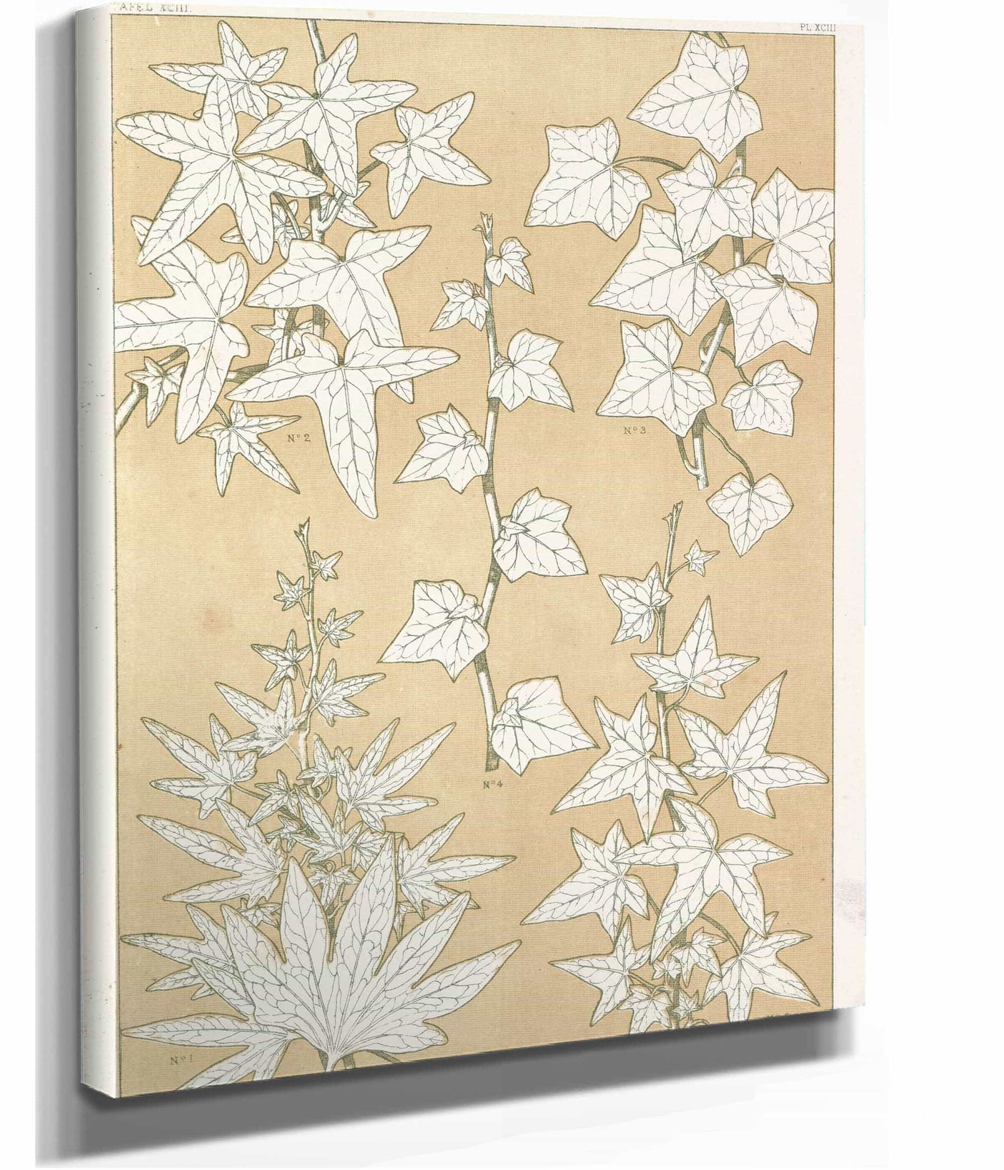 Leaves From Nature No by Owen Jones - Image 8