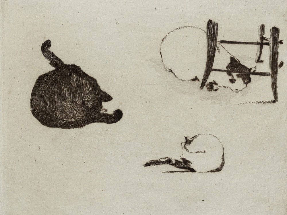 Les Chats By Edouard Manet - Image 7